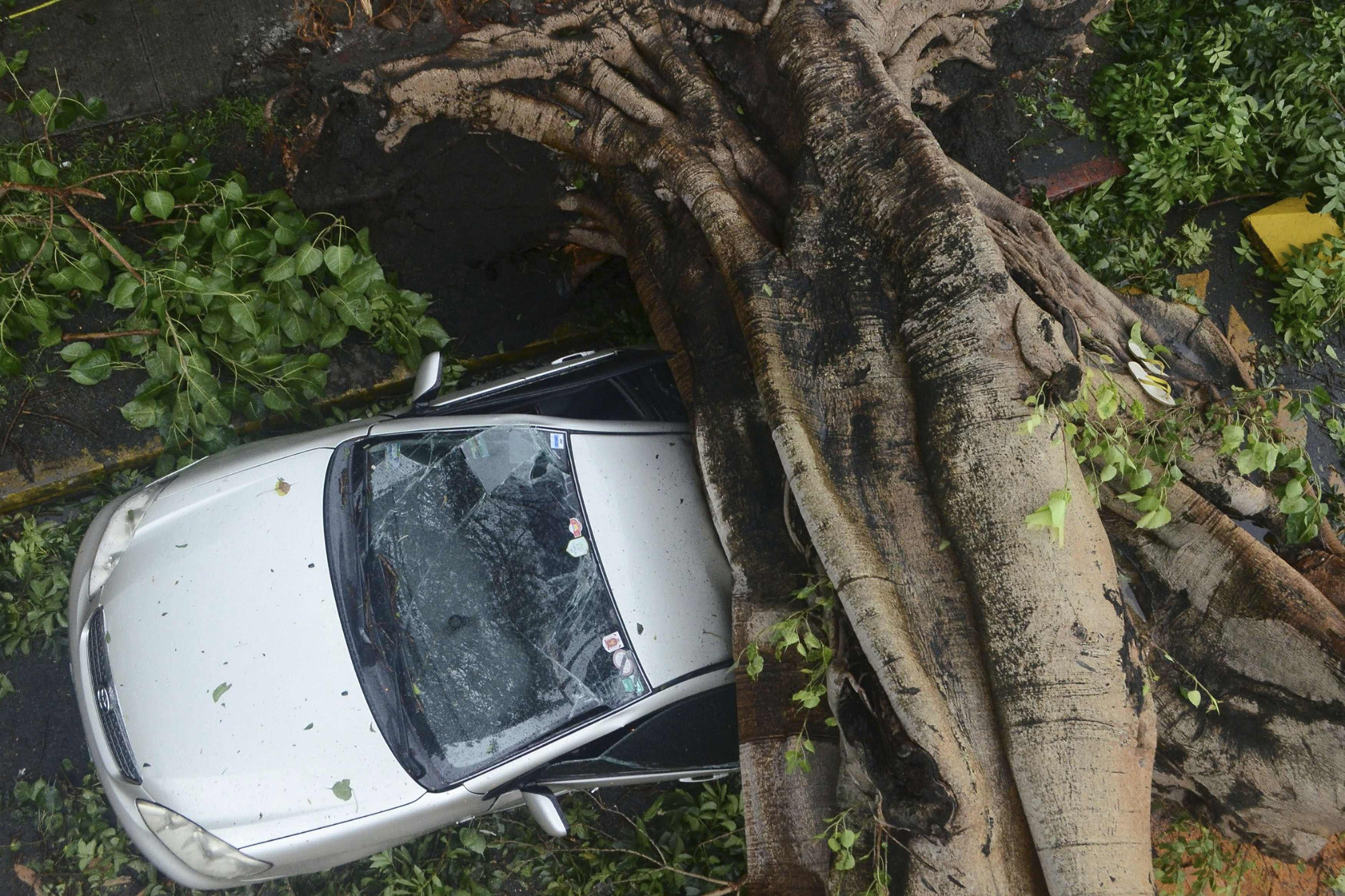 A huge tree crushes a car during the onslaught of Typhoon Rammasun that hit Makati city in Manila July 16, 2014.