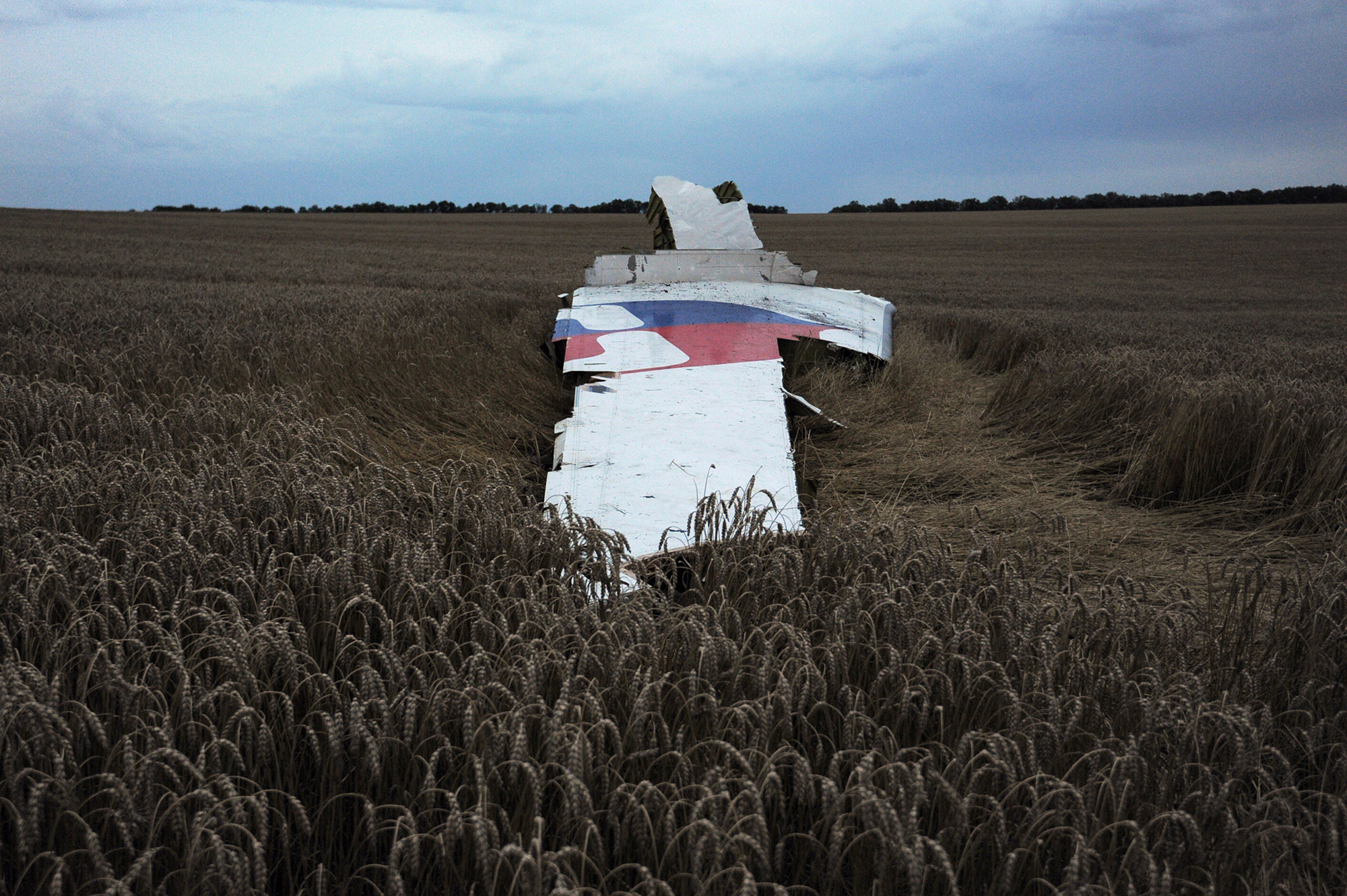 The wreckage of the Malaysian airliner carrying 295 people from Amsterdam to Kuala Lumpur after it crashed, near the town of Shaktarsk, in rebel-held east Ukraine, July 17, 2014.