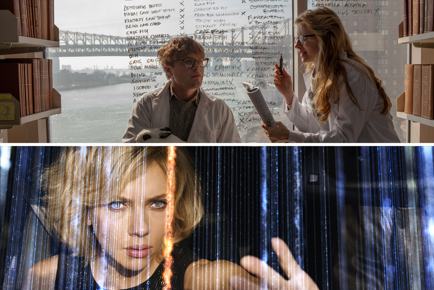 Top: I Origins, Bottom: Lucy (Top: Fox Searchlight; Bottom: Universal Pictures)