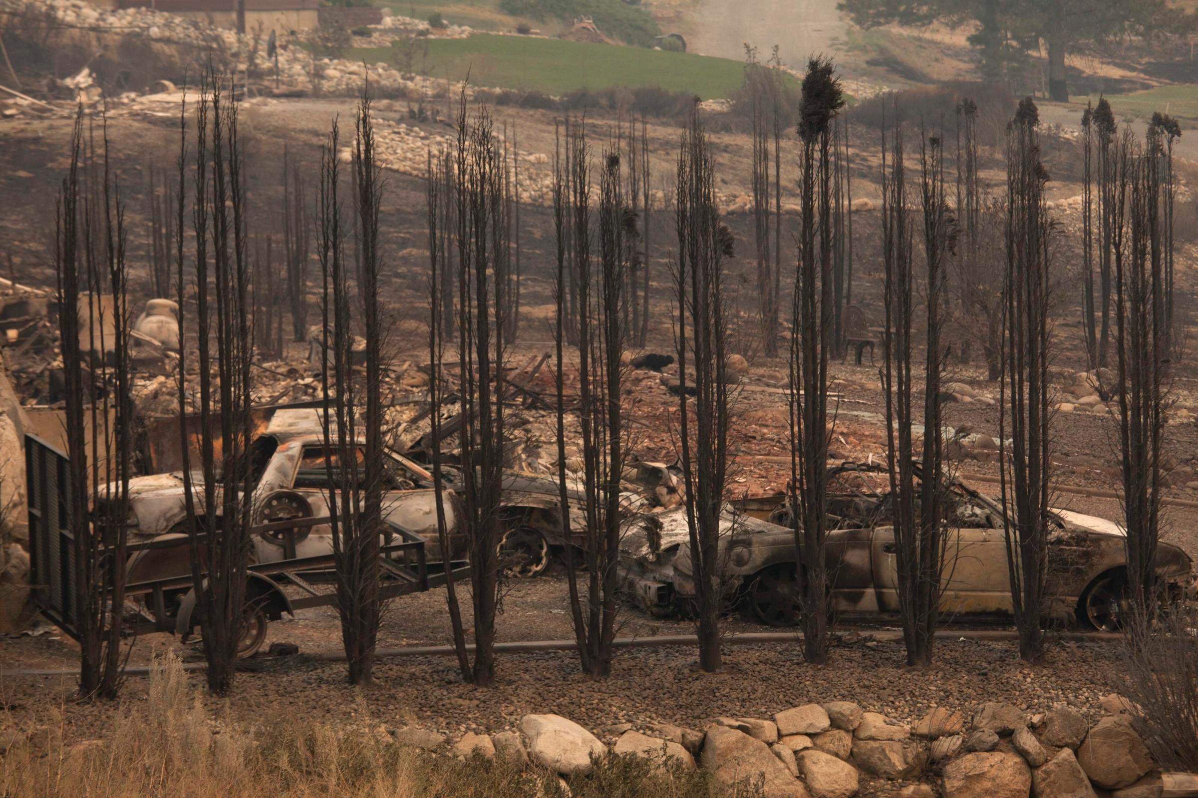 Burnt trees and cars are pictured near Alta Lake Golf Course after much of the area was consumed by the Carlton Complex Fire near Pateros