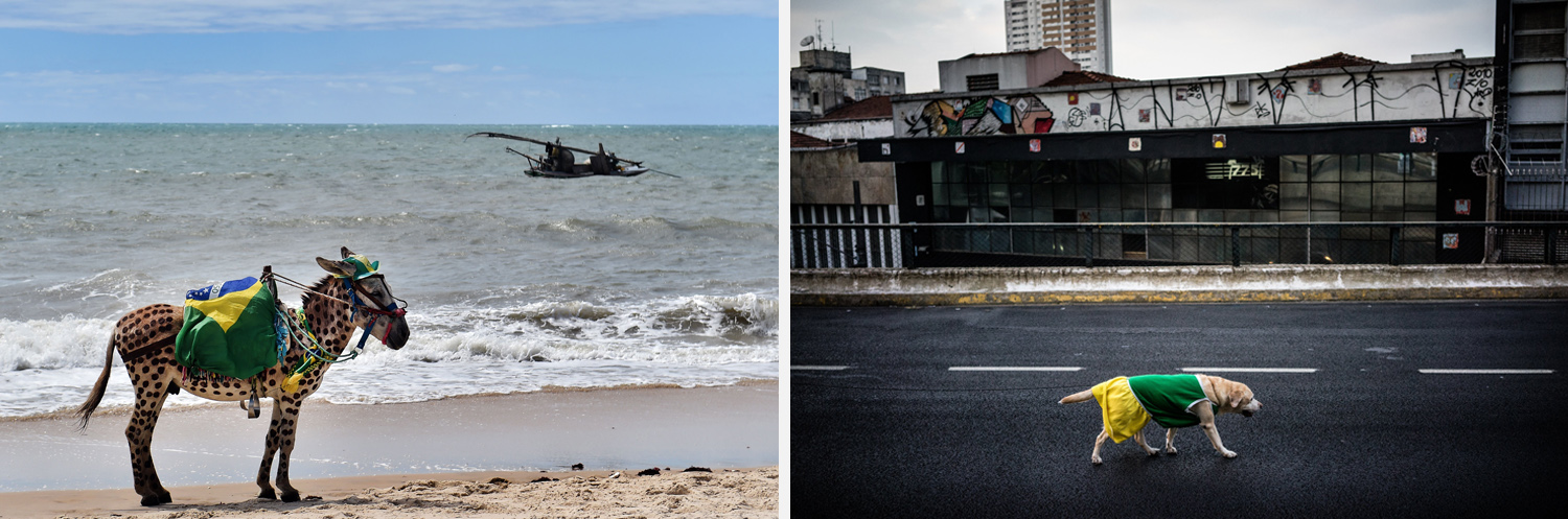 Left: A donkey wears the colors of Brazil as it stands on a beach of Cumbucu, Brazil. Right: A dog wearing Brazilian soccer team colors walks on the Minhocao, a 2.2-mile stretch of highway, in Sao Paulo.