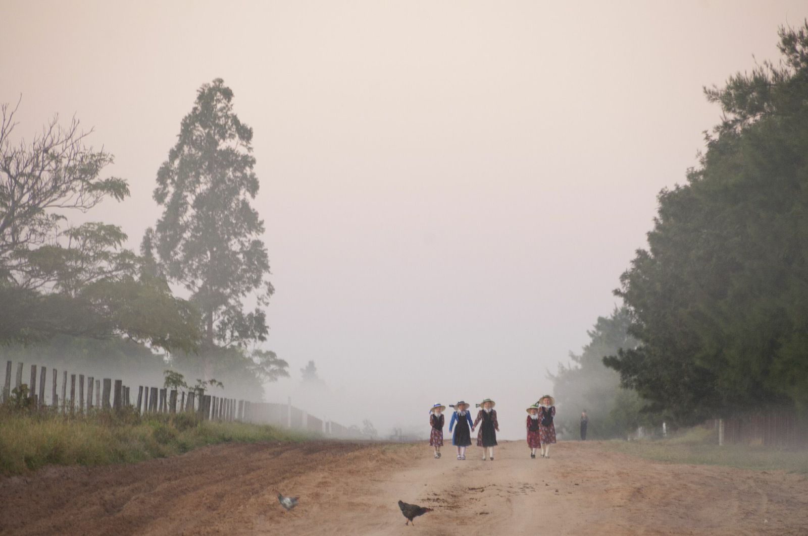 Mennonite girls going to school at 6:30 a.m in
                              Swift Current colony, Bolivia.