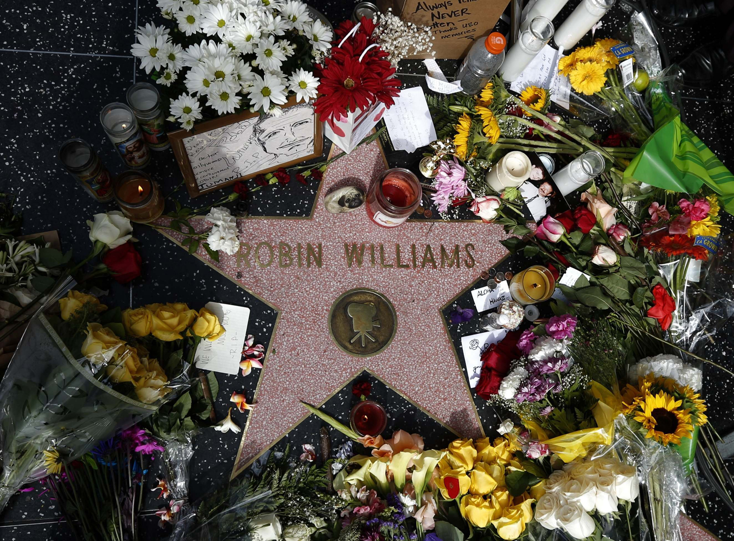 Aug. 12, 2014. Flowers are seen on the late Robin Williams' star on the Hollywood Walk of Fame in Los Angeles.