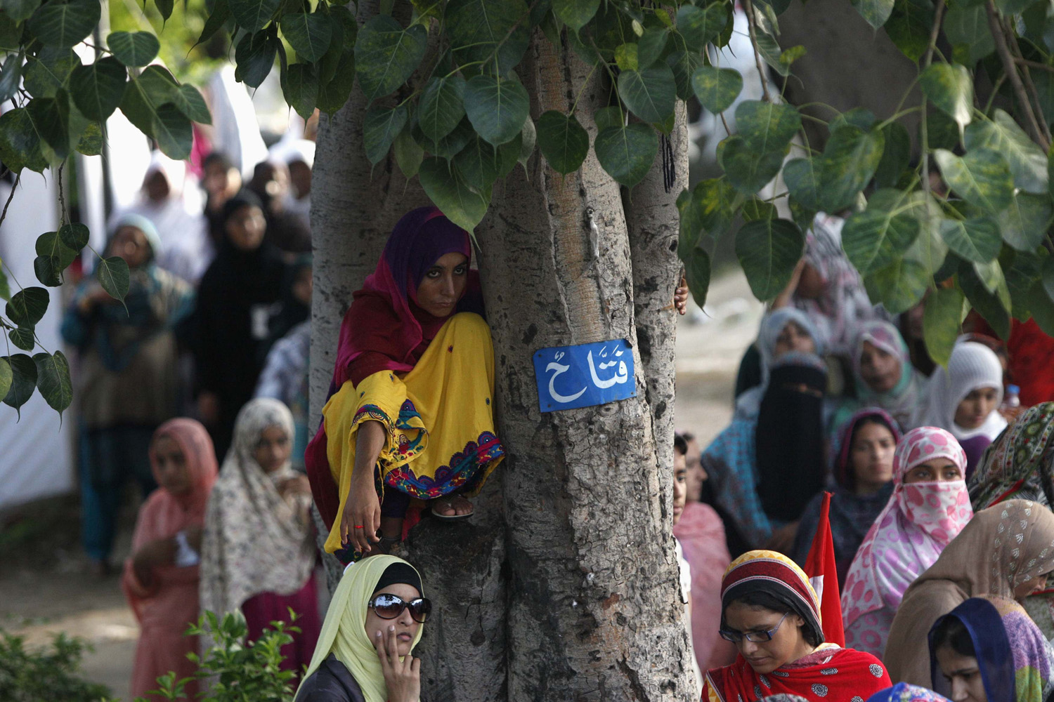 Supporter of Mohammad Tahir ul-Qadri sits on a tree while listening to his speech with others during the Revolution March in Islamabad