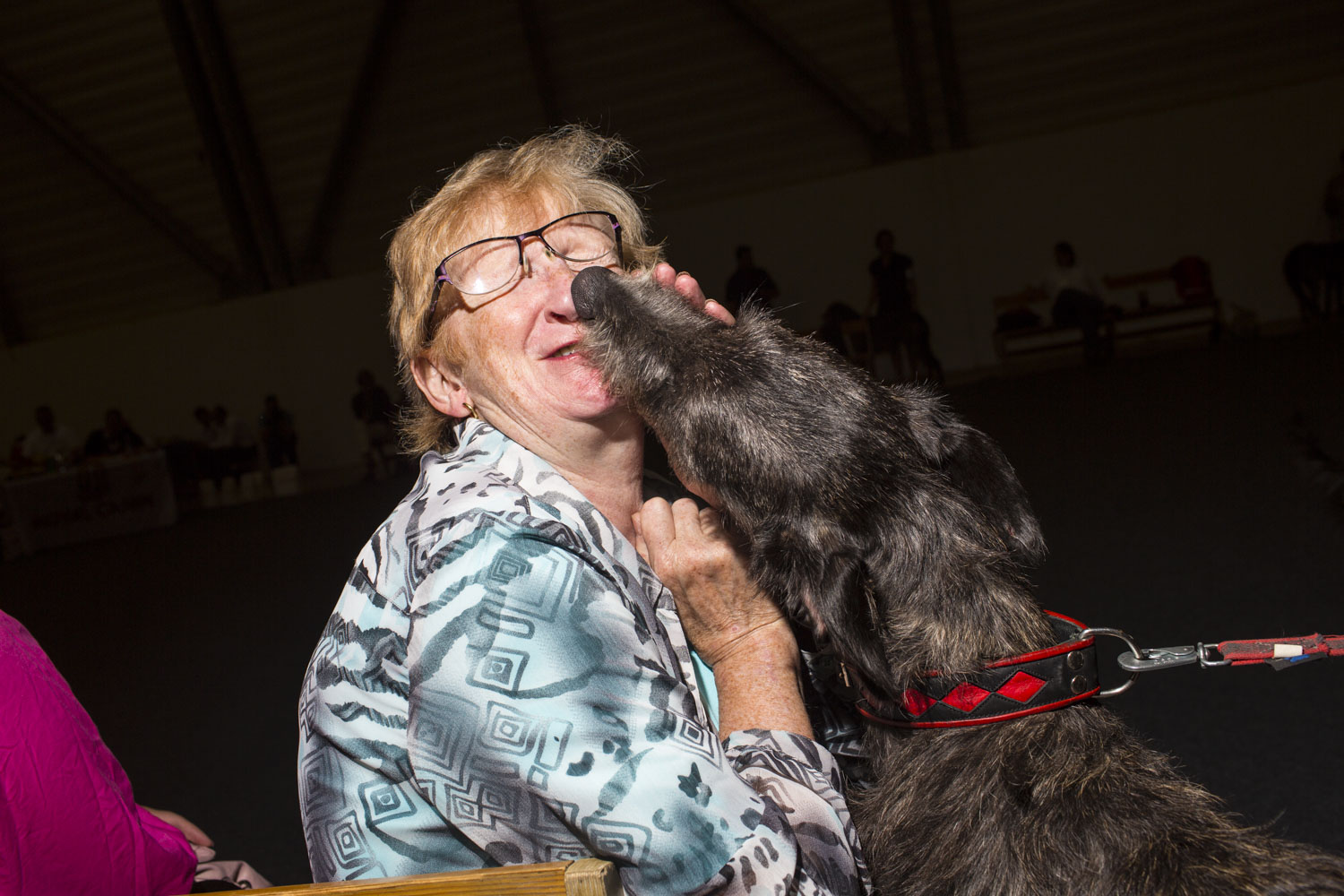 HELSINKI, FINLAND - AUG 9:  Tove Johnsen, a former breeder of Scottish Deerhounds, meets Minka, a one year old female Scottish Deerhound from Finland at the 2014 World Dog Show on Saturday, August 9th, 2014, in Helsinki, Finland. (Photo by Landon Nordeman)
