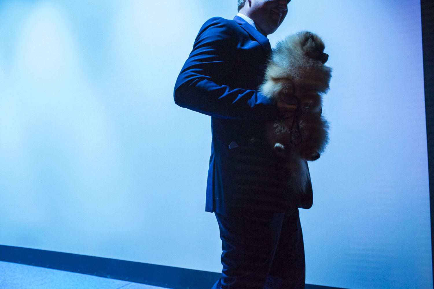 HELSINKI, FINLAND - AUG 9: An unidentified man carries an unidentified dog from the main stage during the 2014 World Dog Show on Saturday, August 9th, 2014, in Helsinki, Finland. (Photo by Landon Nordeman)