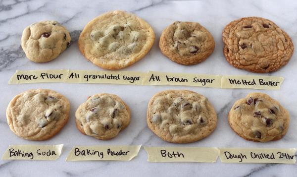 Different types of chocolate chip cookies