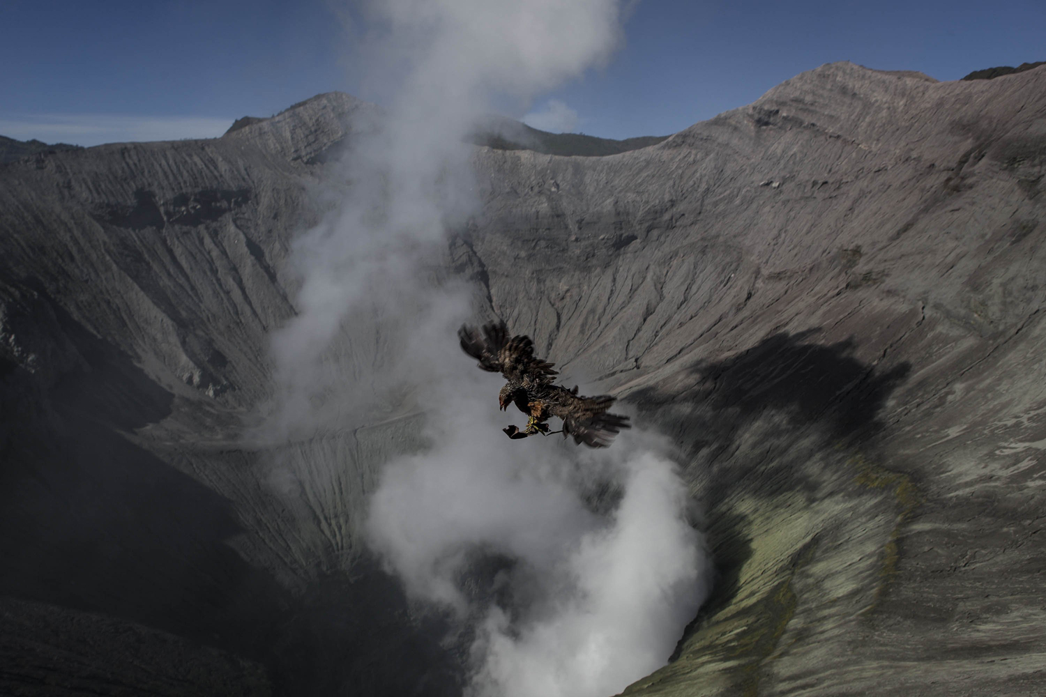 Aug. 12, 2014.  A bird flies over the crater of mount Bromo thrown by Hindu worshippers during the Yadnya Kasada Festival in Probolinggo, East Java, Indonesia.