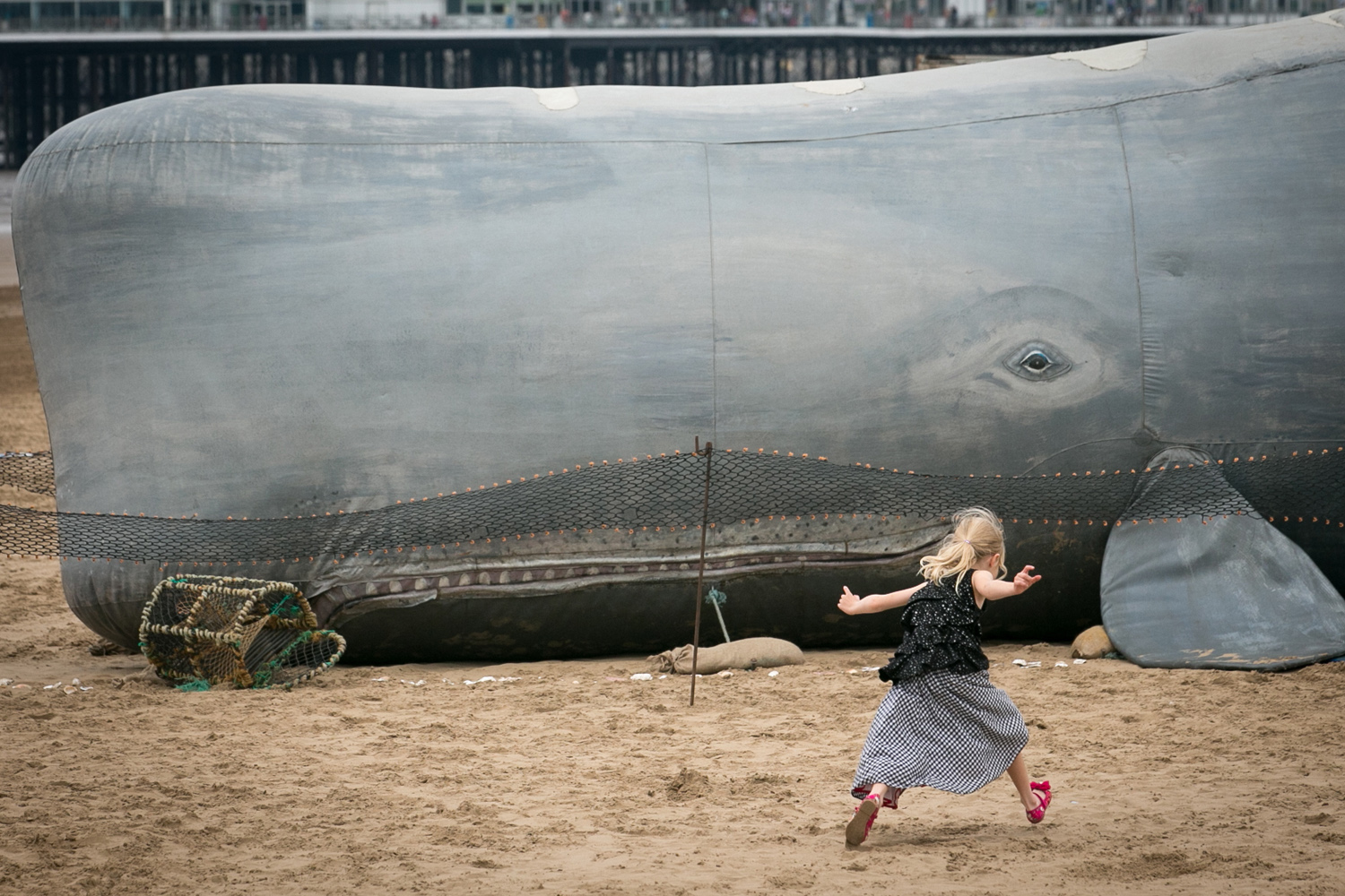 A child plays in front of a 50ft (15m) inflatable whale that has been erected on the beach in Weston-Super-Mare, England on Aug. 27, 2014.