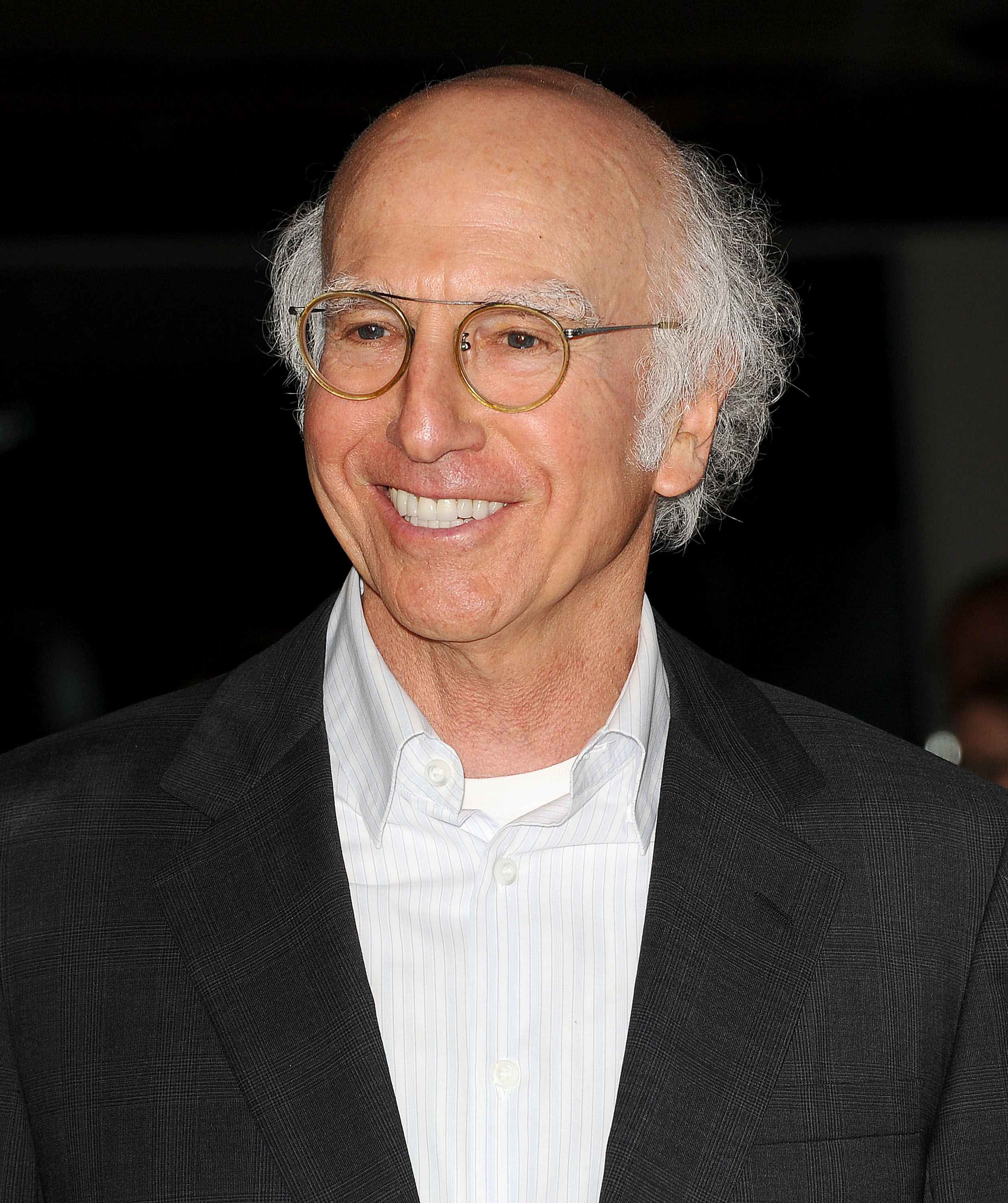 Larry David attends the premiere of 