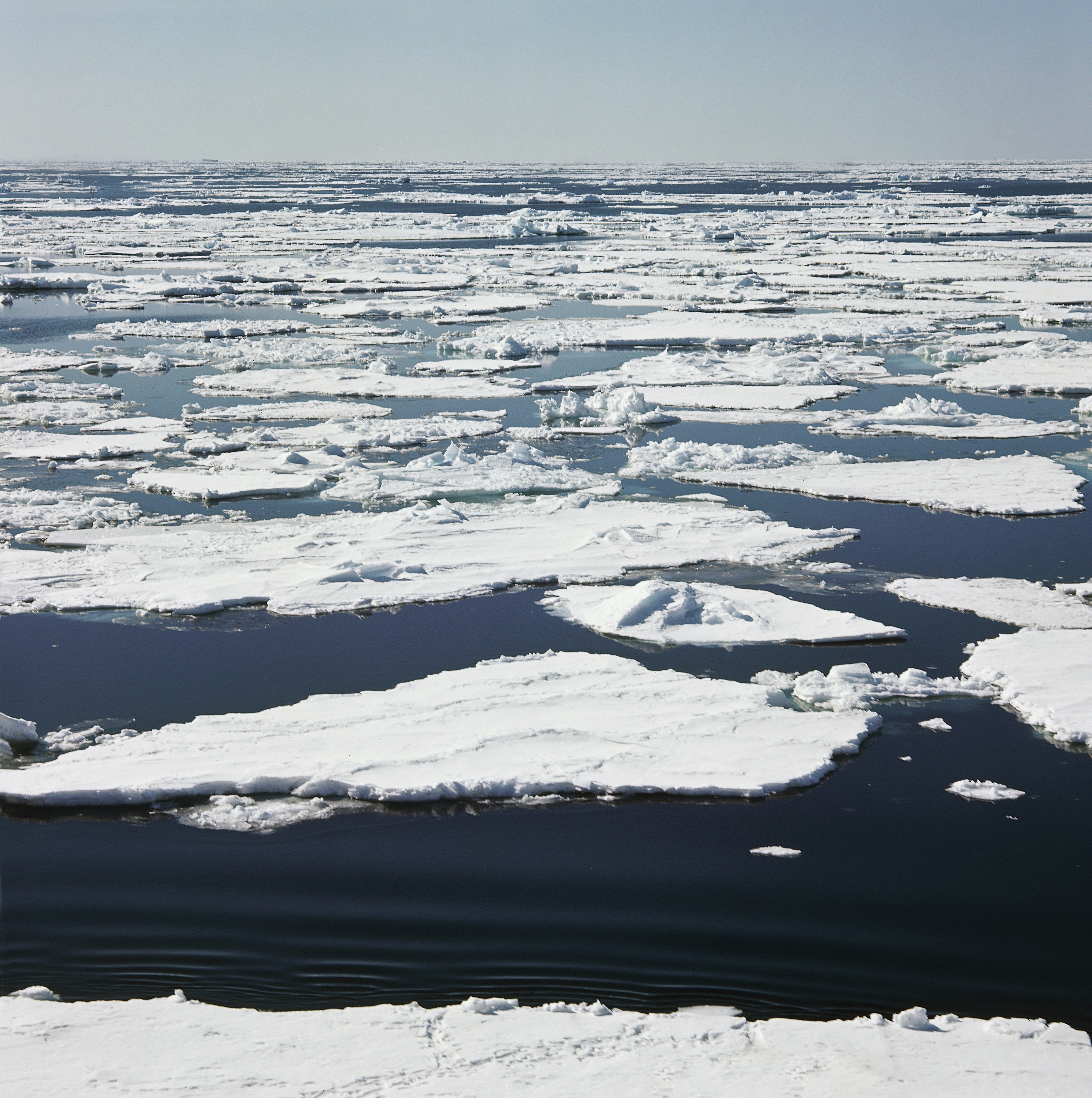 Ice floes floating on water