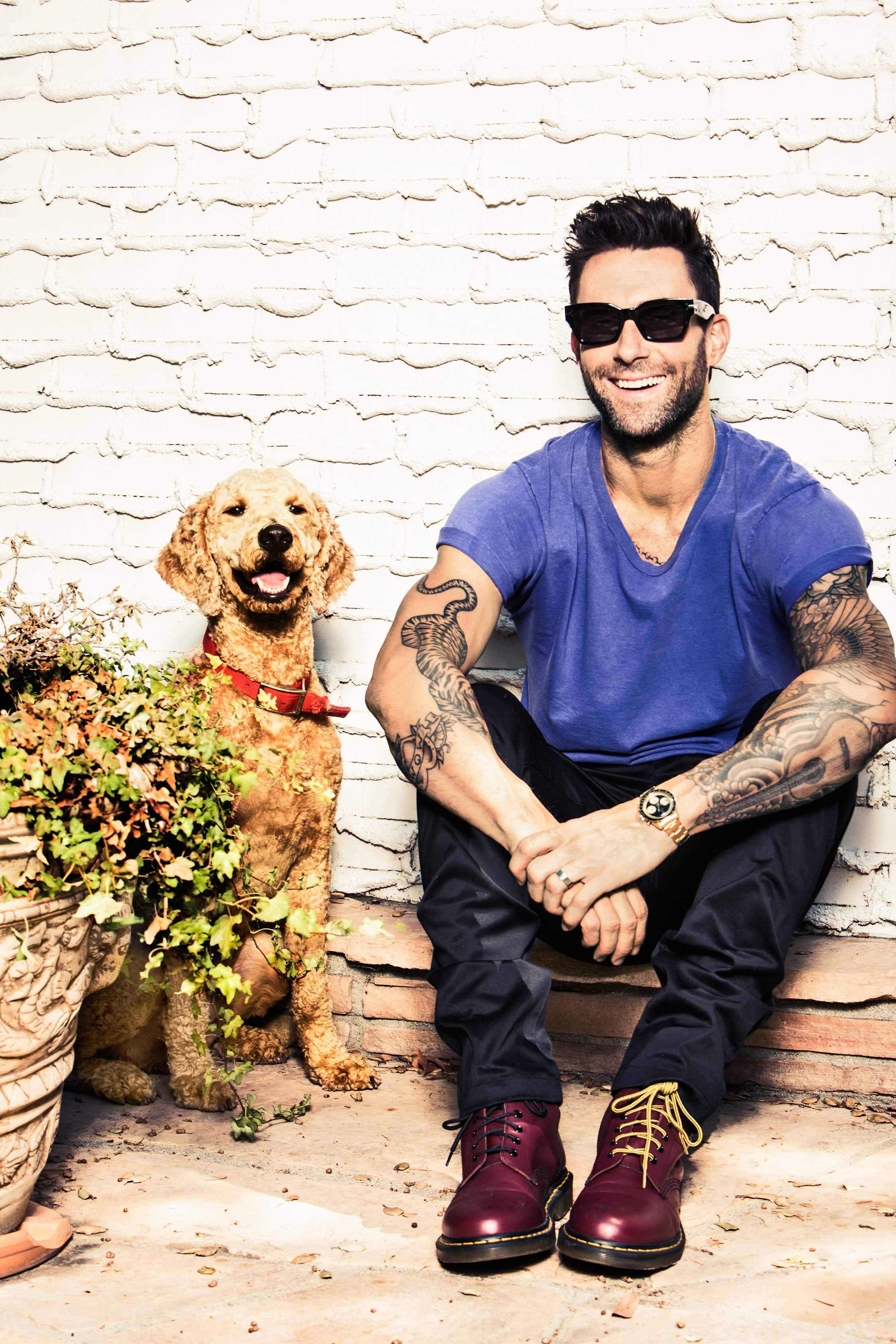 Adam Levine Portrait 2014 Maroon 5