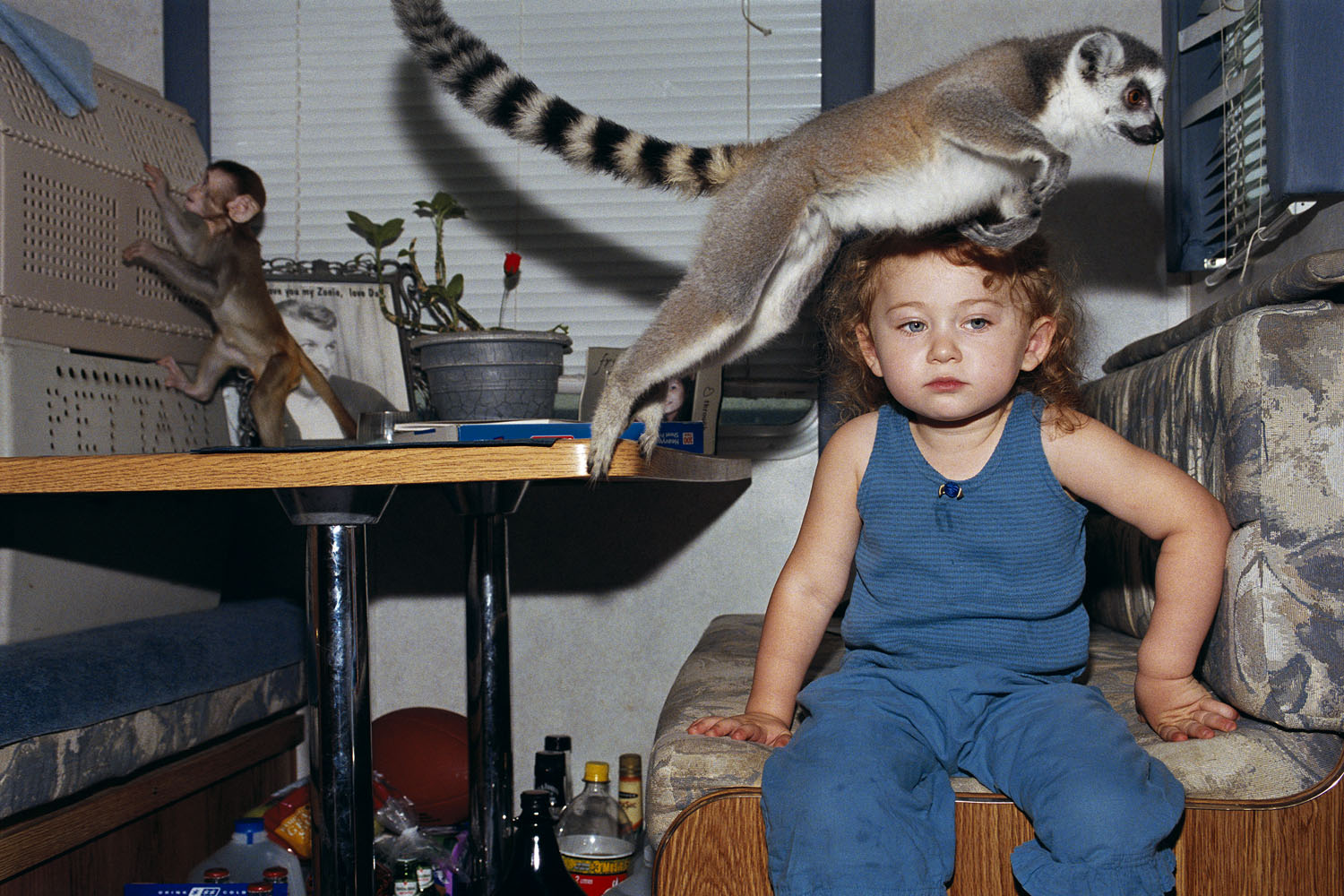 From Robin Schwartz's Amelia and the Animals,   published by Aperture