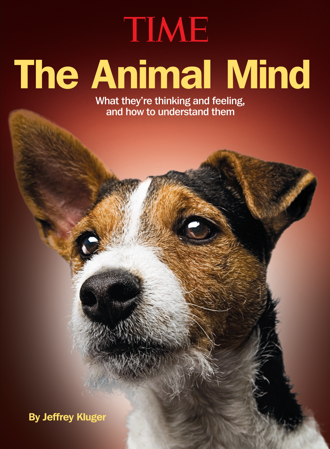 Animal Minds: What Are They Thinking? | Time