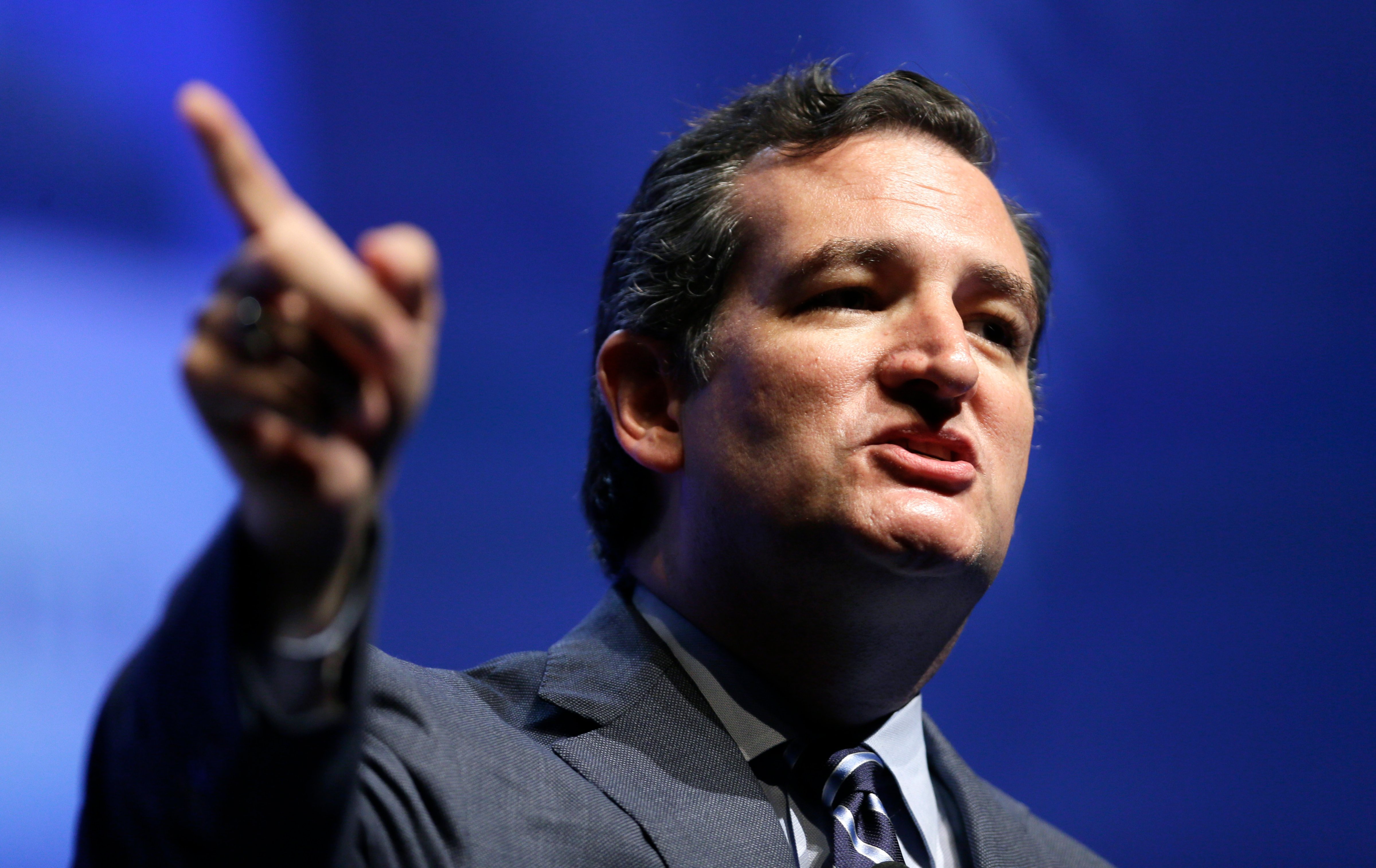 U.S. Sen. Ted Cruz, R-Texas, speaks during The Family Leadership Summit on August 9, 2014, in Ames, Iowa. (Charlie Neibergall—AP)
