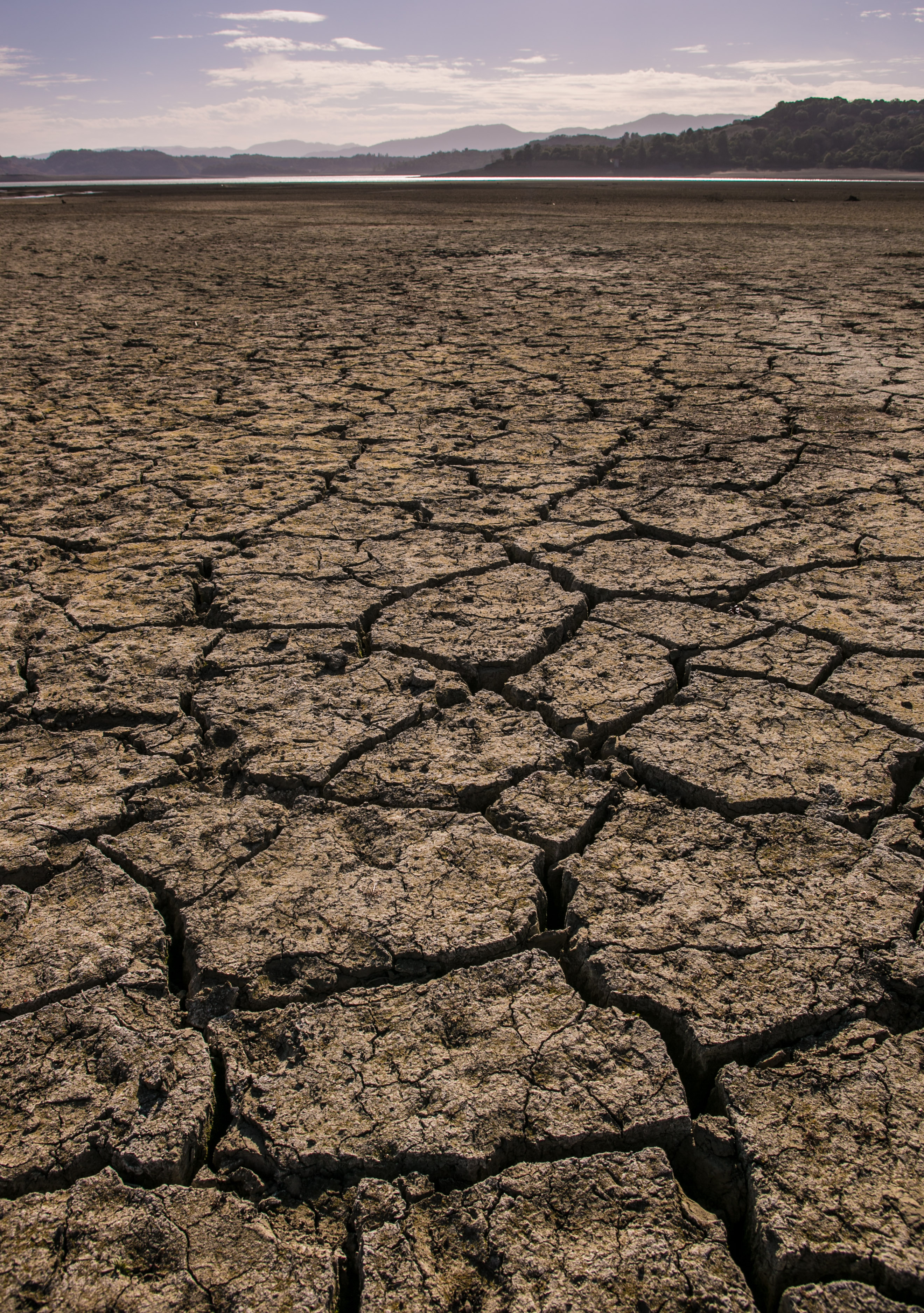 California's Drought Becomes Critical