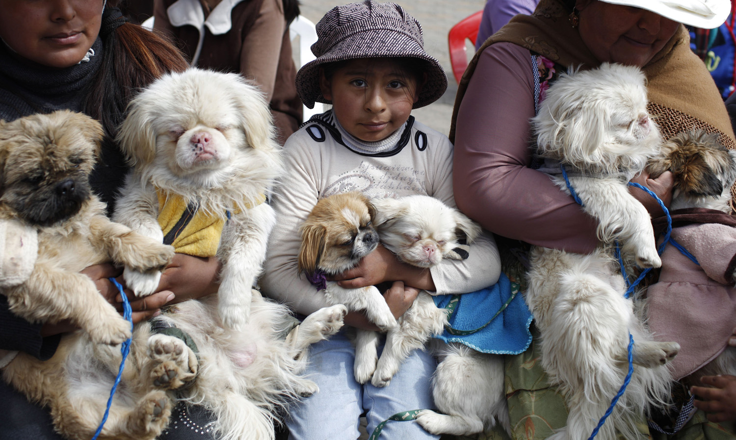 People and their dogs attend Mass during Dog Day, in El Alto, Bolivia on Aug. 16, 2014.