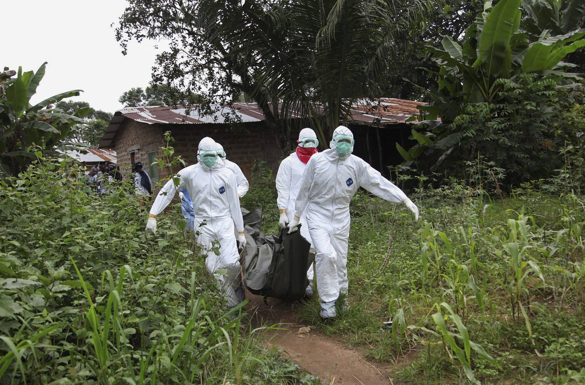 Liberian nurses carry the body of an Ebola victim on the way to bury them in the Banjor Community on the outskirts of Monrovia, Liberia, Aug. 6, 2014. (Ahmed Jallanzo—EPA)
