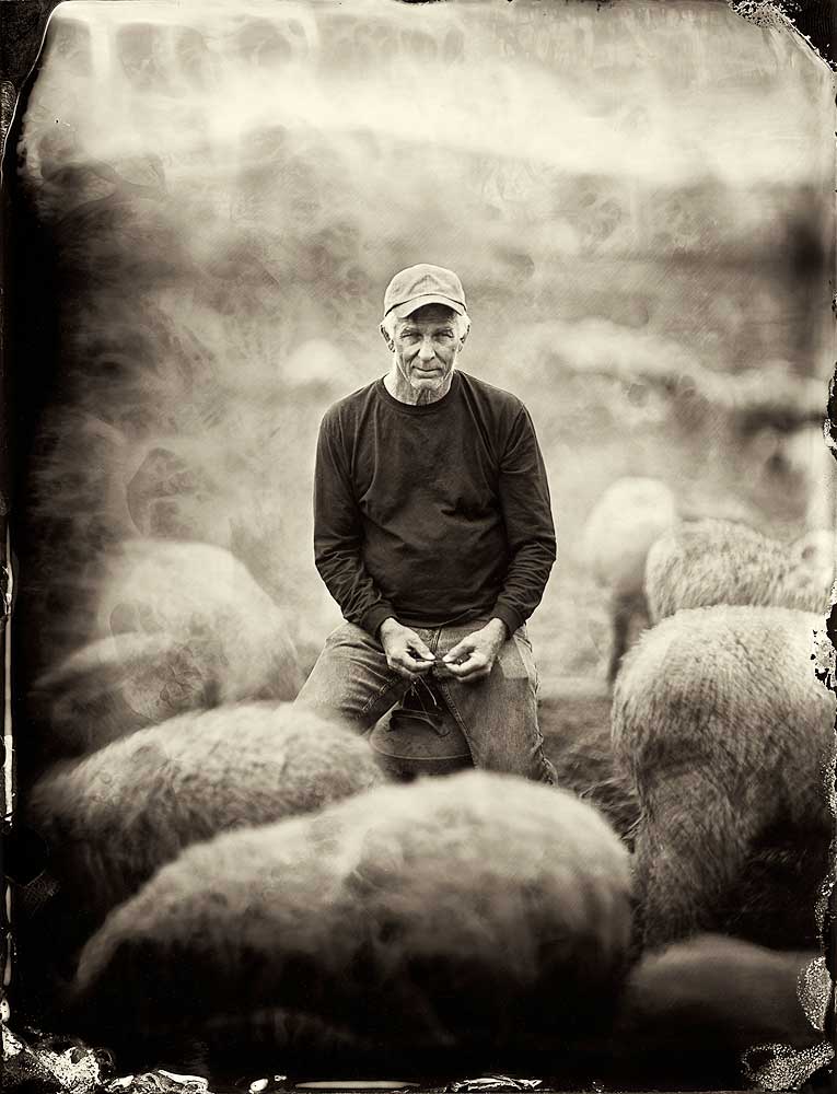 At his farm in Goshen, New York, Wyatt raises 800 merino sheep for both meat and wool (the richly colored yarn are dyed on the farm). The poetry he posts on his blog reveals a love of language, which helps explain why although he farms organically—he no longer seeks the government’s certification for doing so. “I rescinded my [organic] certification two years after the USDA took over,” he says. “I don’t like the word now because it’s branding.”