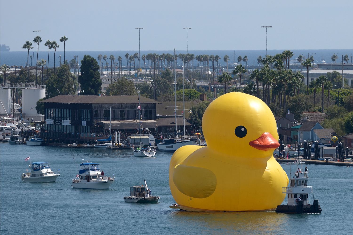 A giant yellow vinyl duck joins sailing ships and motorboats during the Tall Ships Festival L.A. parade in the Port of Los Angeles on Wednesday, Aug. 20, 2014. (Jeff Gritchen/The Orange County Register – AP)
