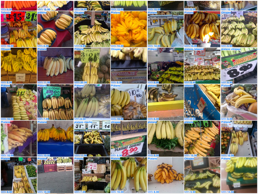 Fruit and vegetables are common items photographed with the Premise app to help measure inflation