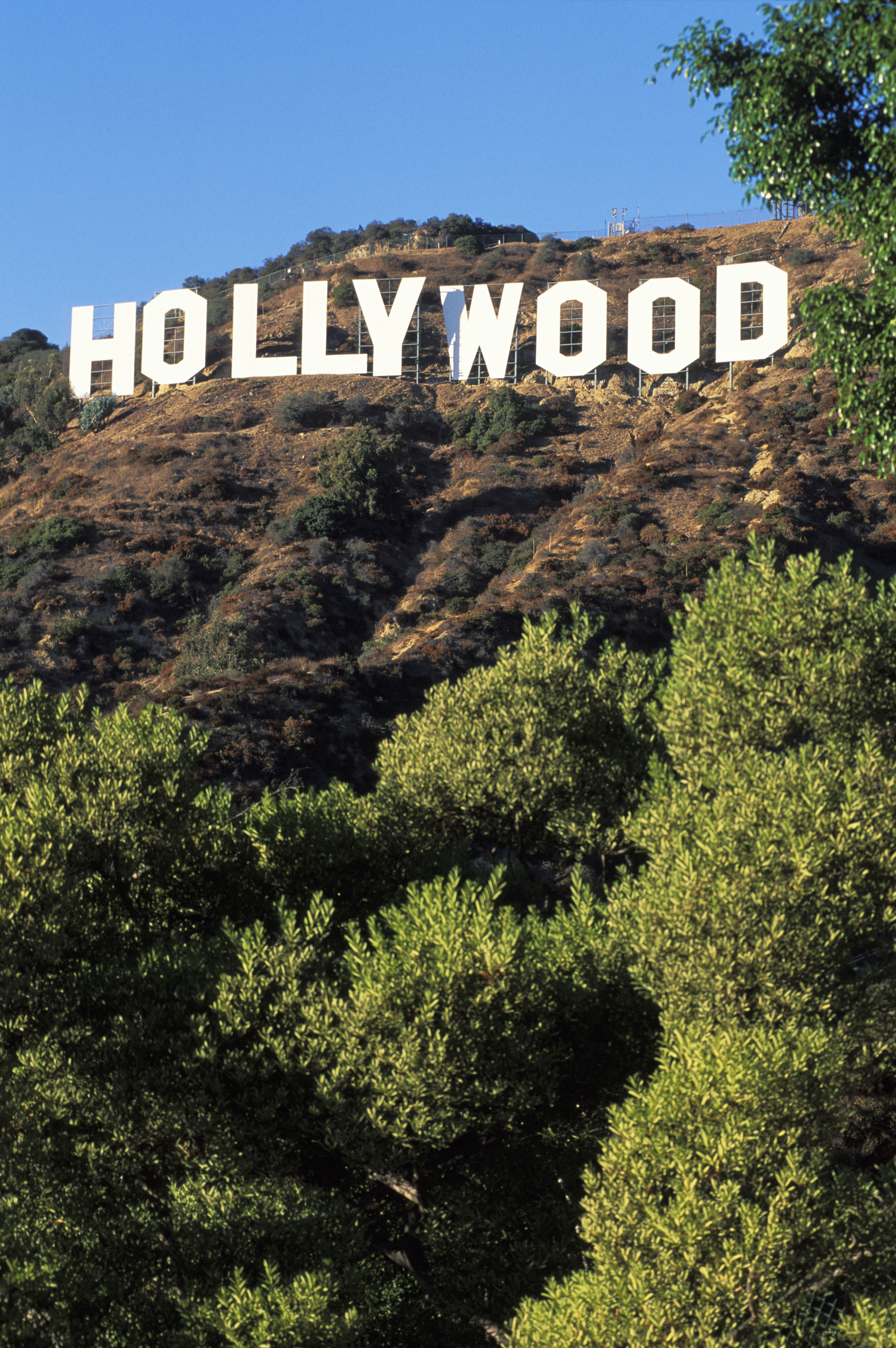 The Hollywood sign in Los Angeles, California. (Chris Cheadle—All Canada Photos/Getty Images)