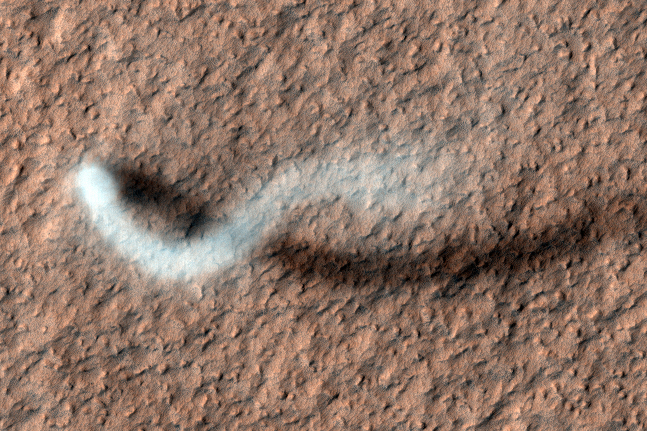 A towering dust devil casts a serpentine shadow over the Martian surface in this stunning, late springtime image of Amazonis Planitia. The length of the shadow indicates that the dust plume reaches more than 800 meters, or half a mile, in height.