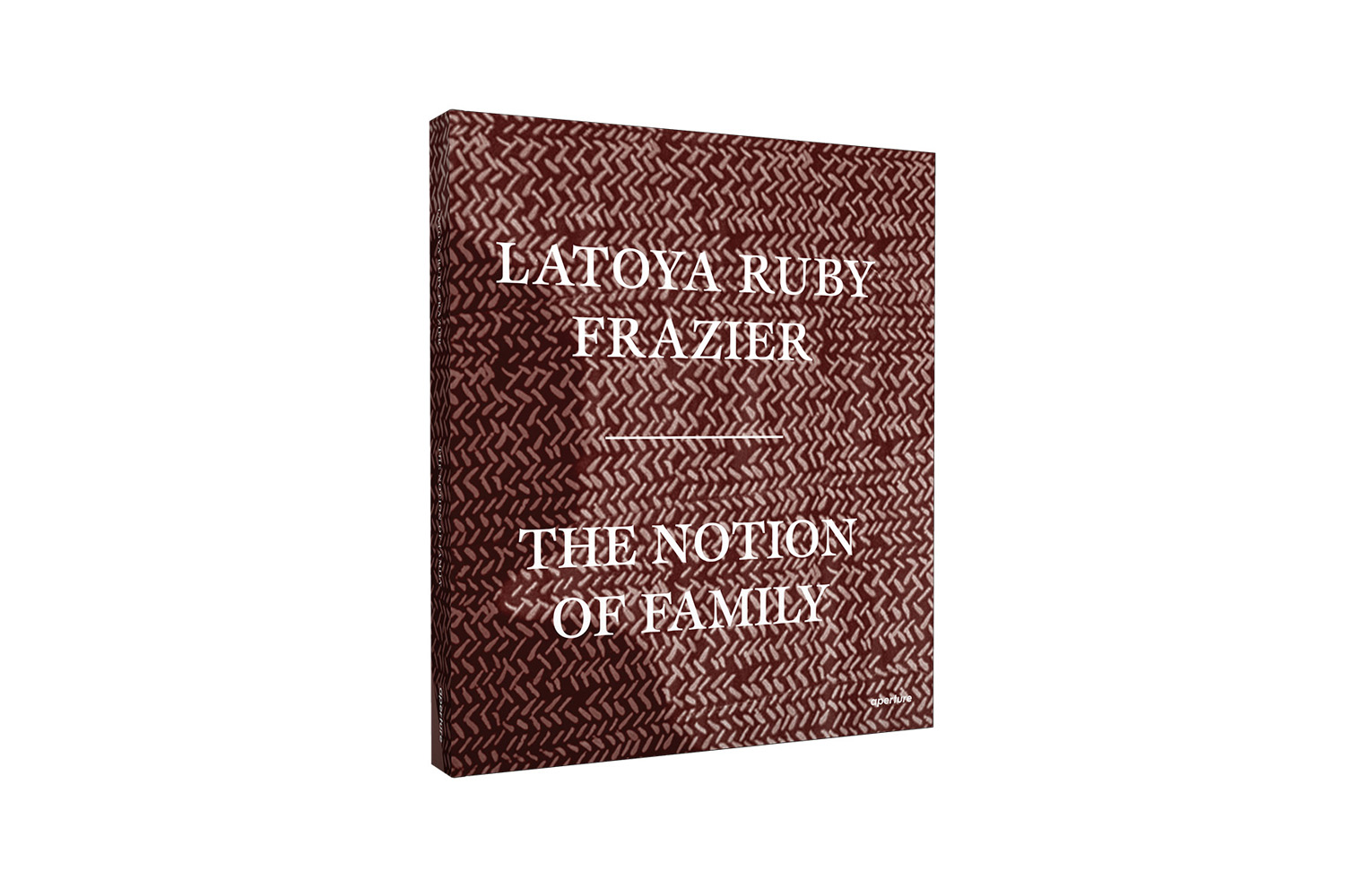 LaToya Ruby Frazier's The Notion of a Family, published by Aperture
                              In her first book, Frazier explores themes of economic inequity, racism and personal politics through three generations of her own family, and documents the tolls that big injustices can have on small families and communities alike.