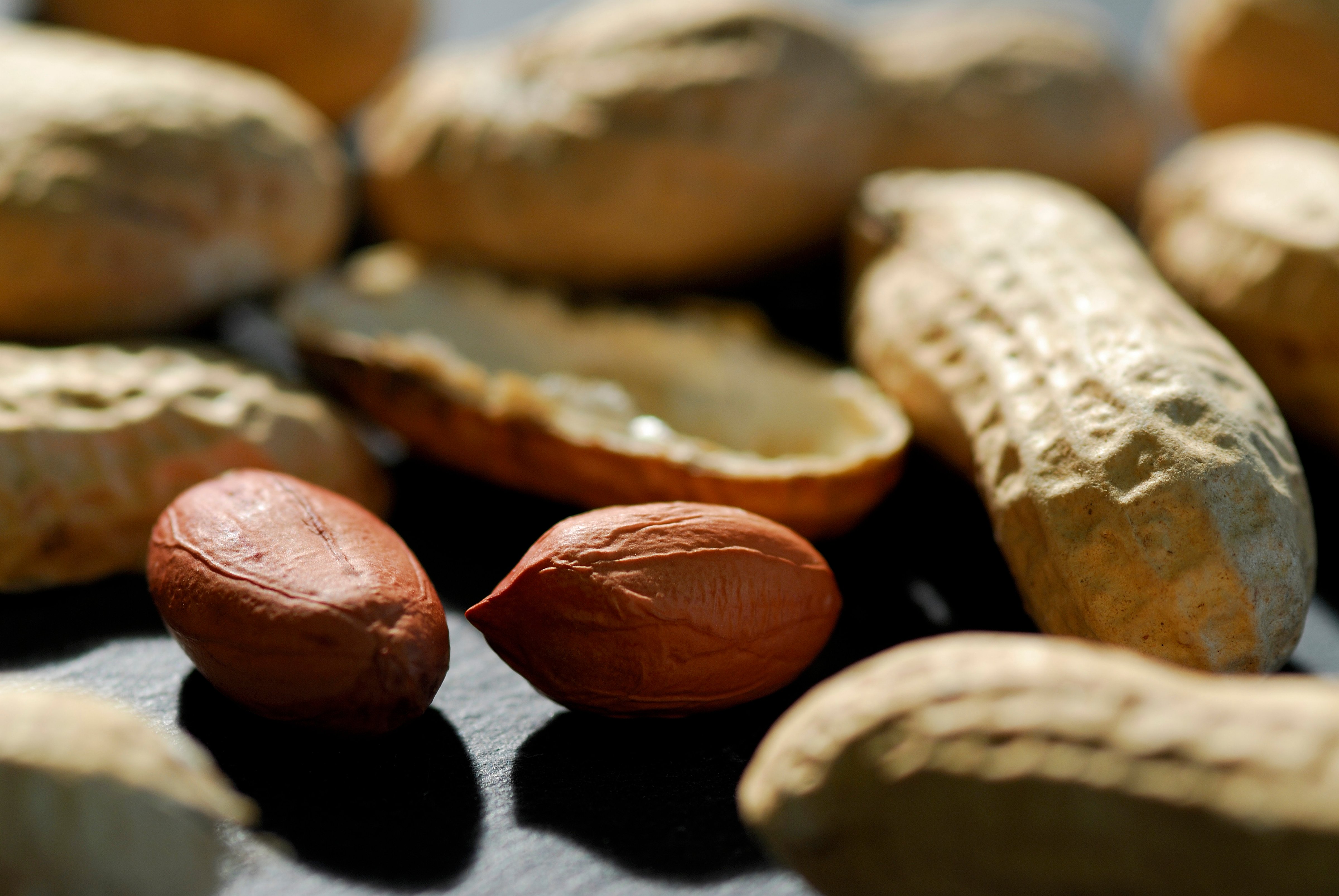 Peanut allergies have risen sharply, but a new therapy is in the beginning stages of research (Getty Images)