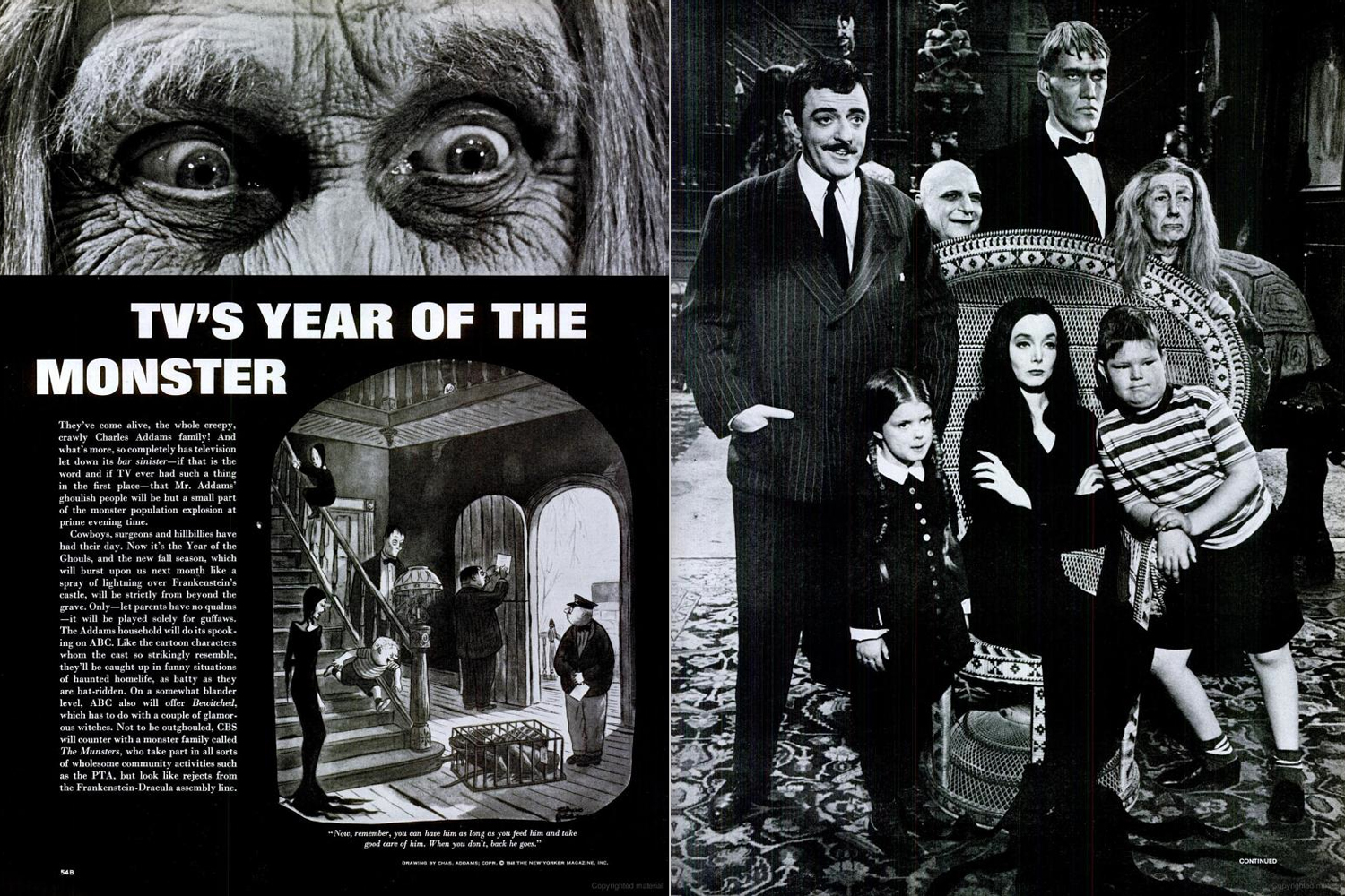 The Addams Family 1964