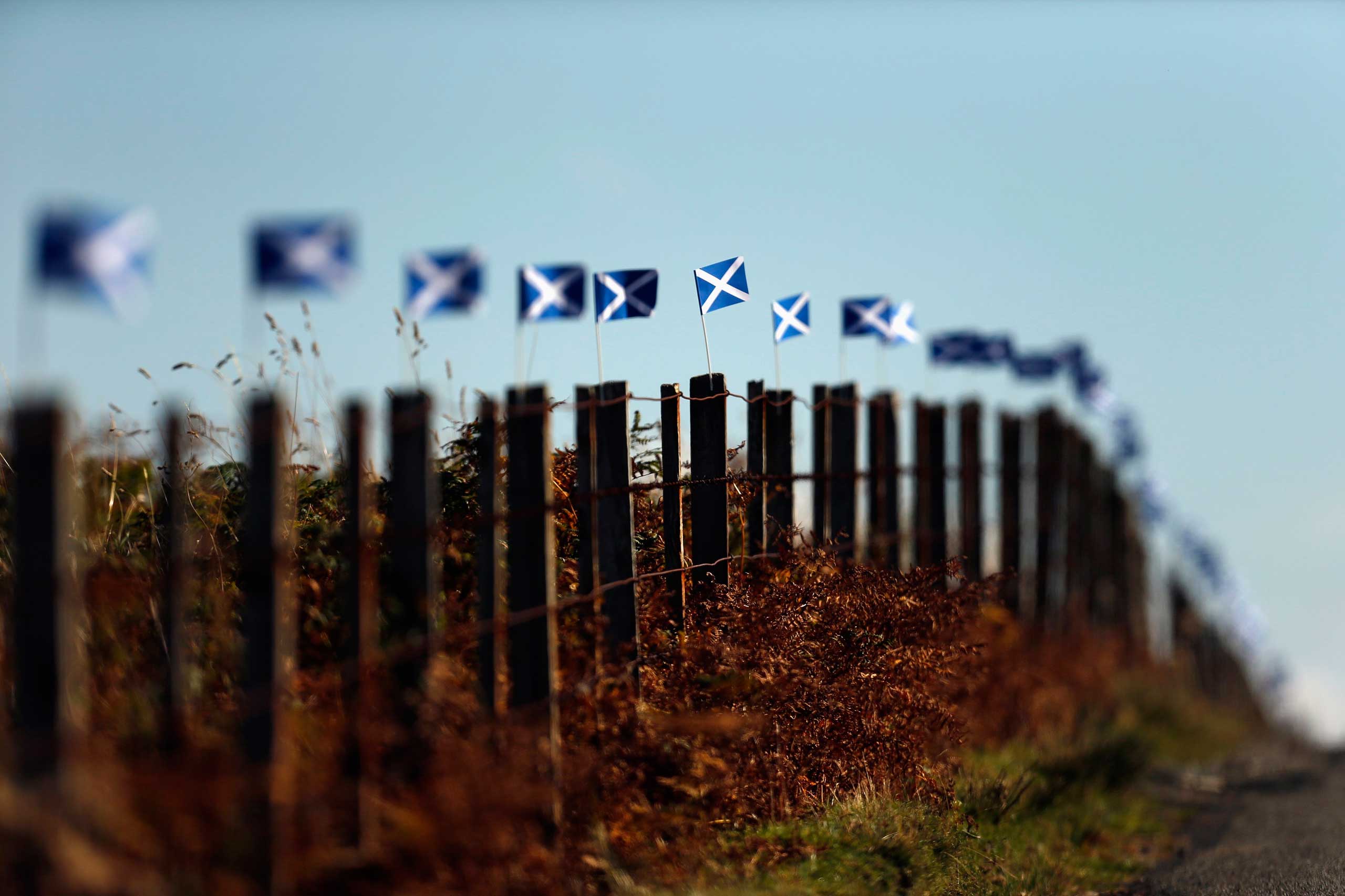 Sept. 17, 2014. Scottish flags fly from fence posts near Portree on the Isle of Skye.