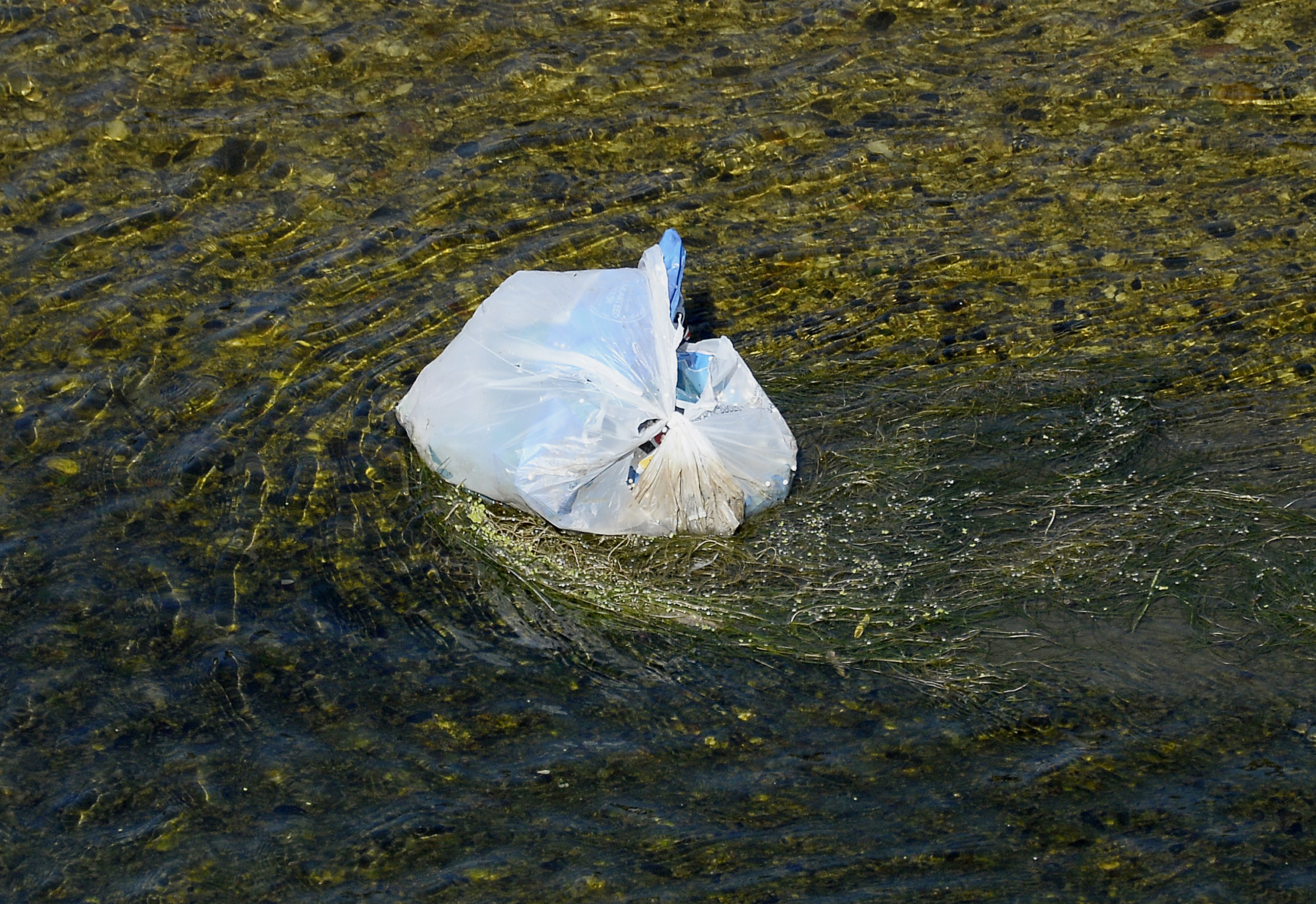 California First State To Ban Plastic Bags