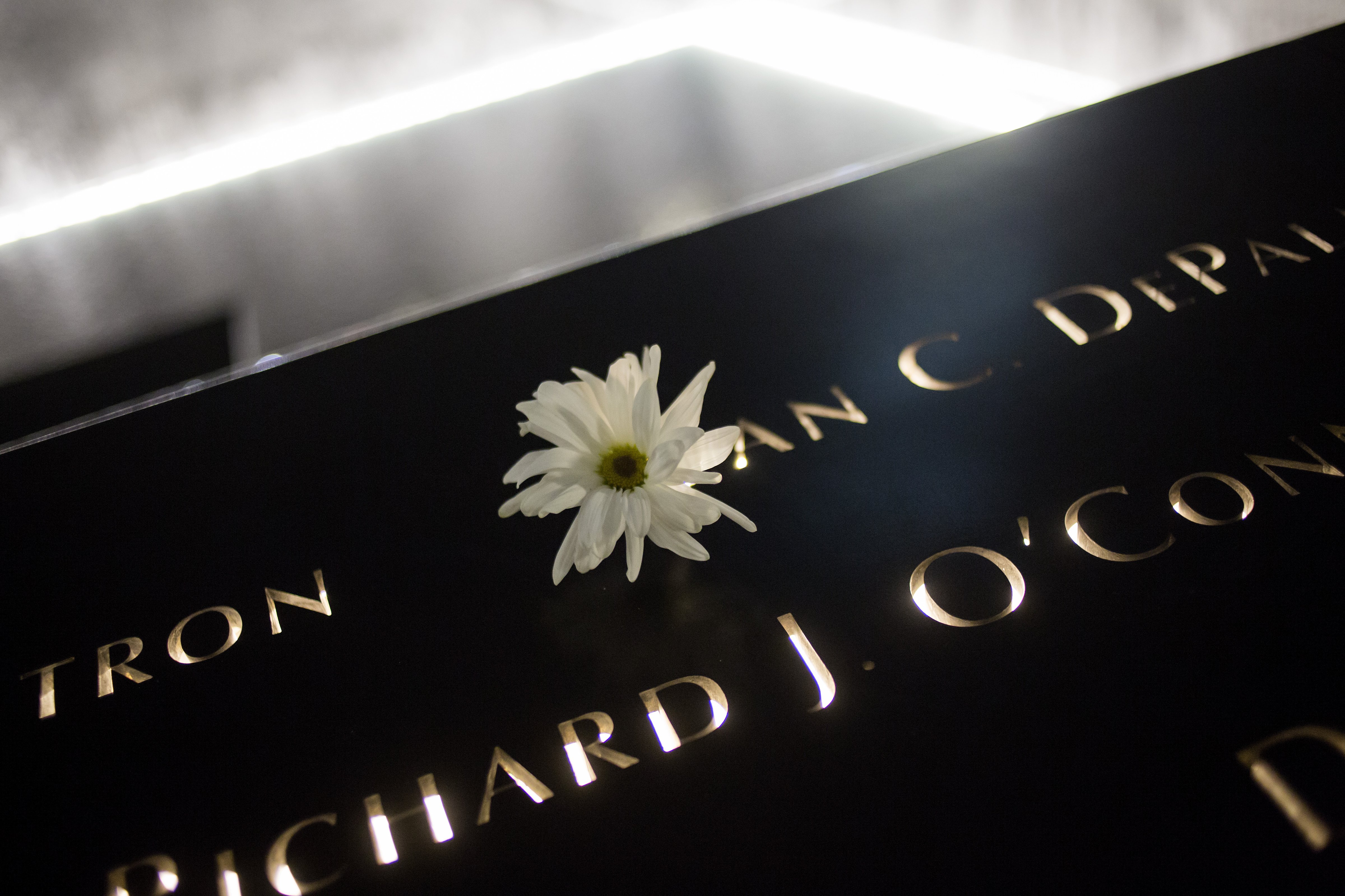 A flower is left at the 9/11 Memorial September 11, 2014 in New York City. This year marks the 13th anniversary of the September 11th terrorist attacks that killed nearly 3,000 people at the World Trade Center, Pentagon and on Flight 93. (Eric Thayer&mdash;Getty Images)