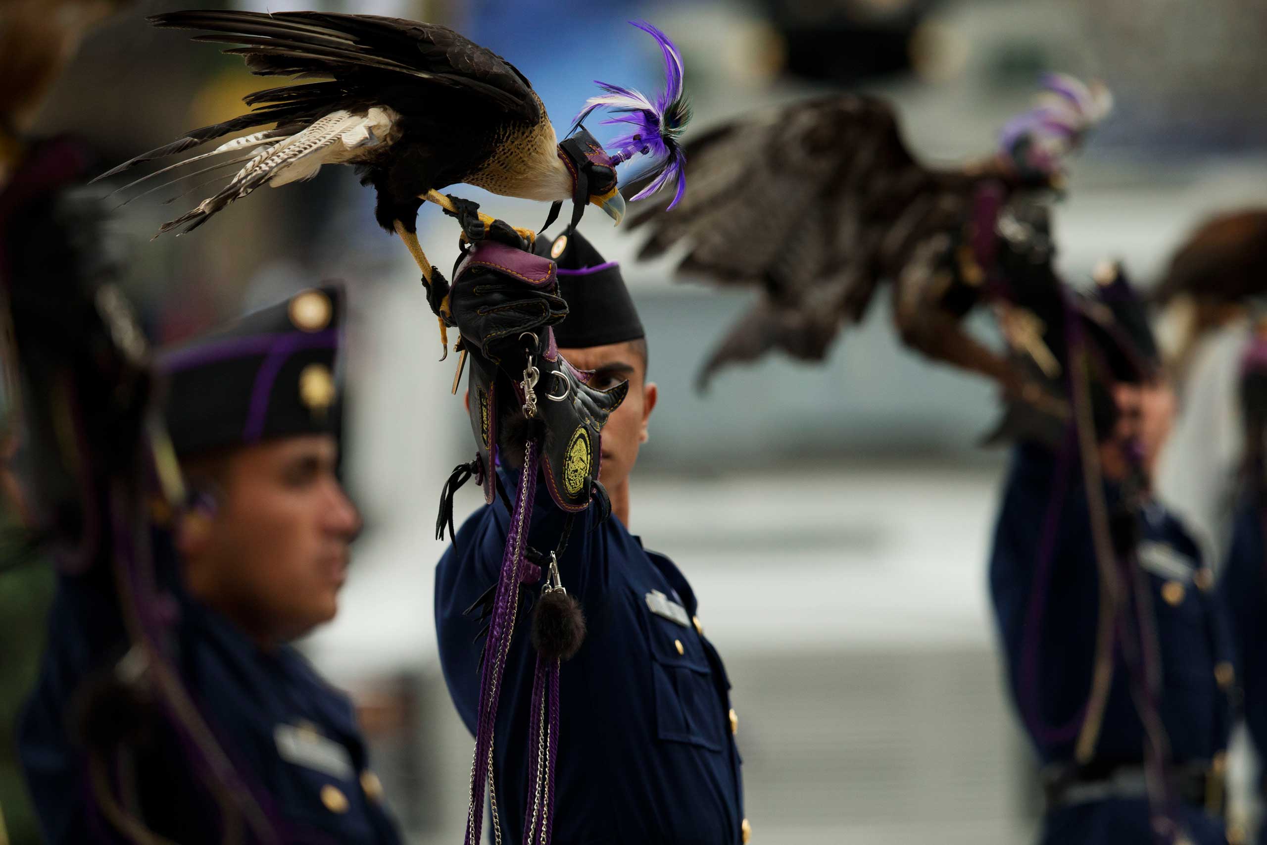Sept. 16, 2014. A member of the Air Force carrying a predatory bird looks toward the President as they march past the National Palace during an annual Independence Day parade by Mexico's Armed Forces in central Mexico City.