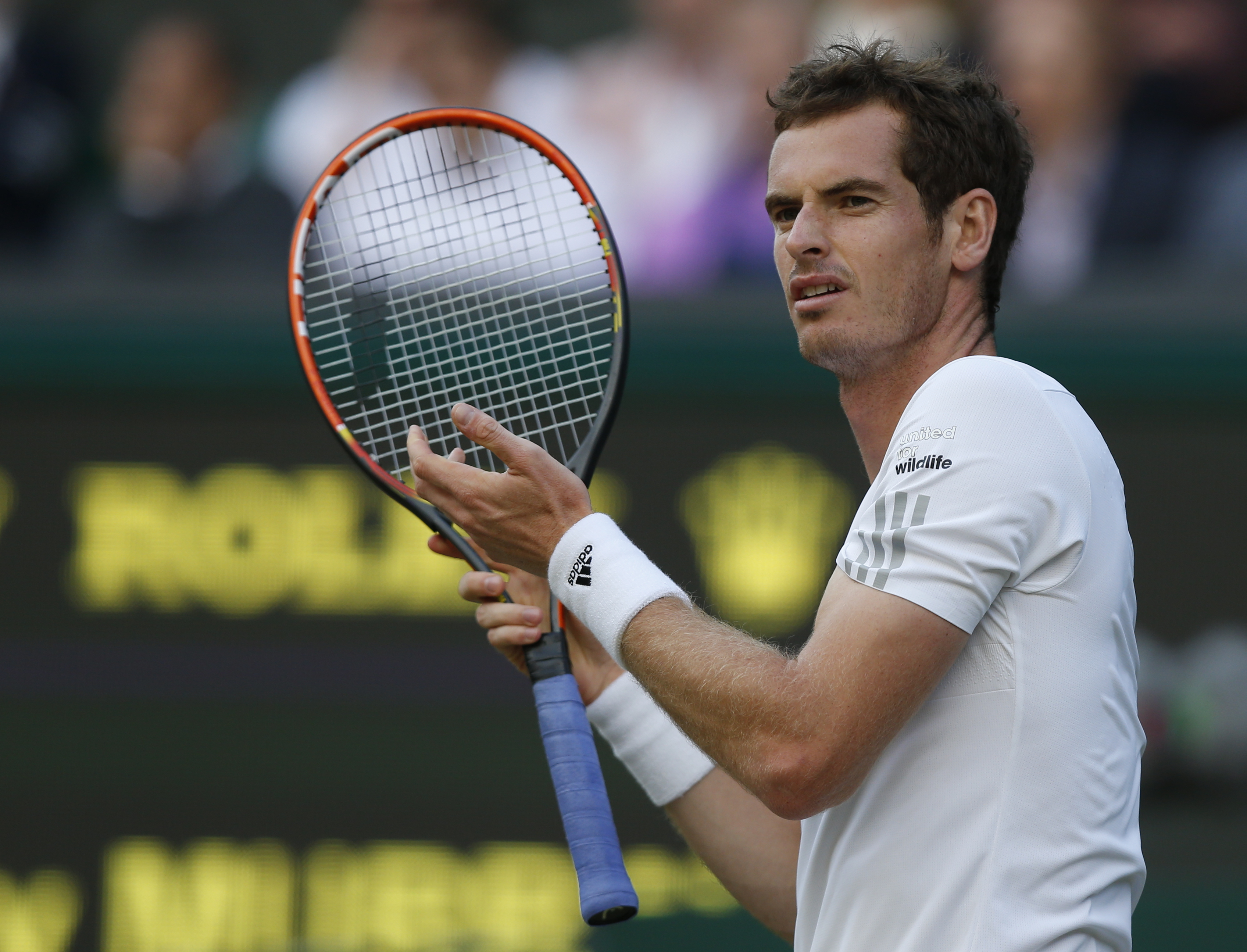In this Friday, June 27, 2014, file photo, Andy Murray of Britain gestures between points as he plays Roberto Bautista Agut of Spain in their men's singles match at the All England Lawn Tennis Championships in Wimbledon. (Sang Tan—AP)