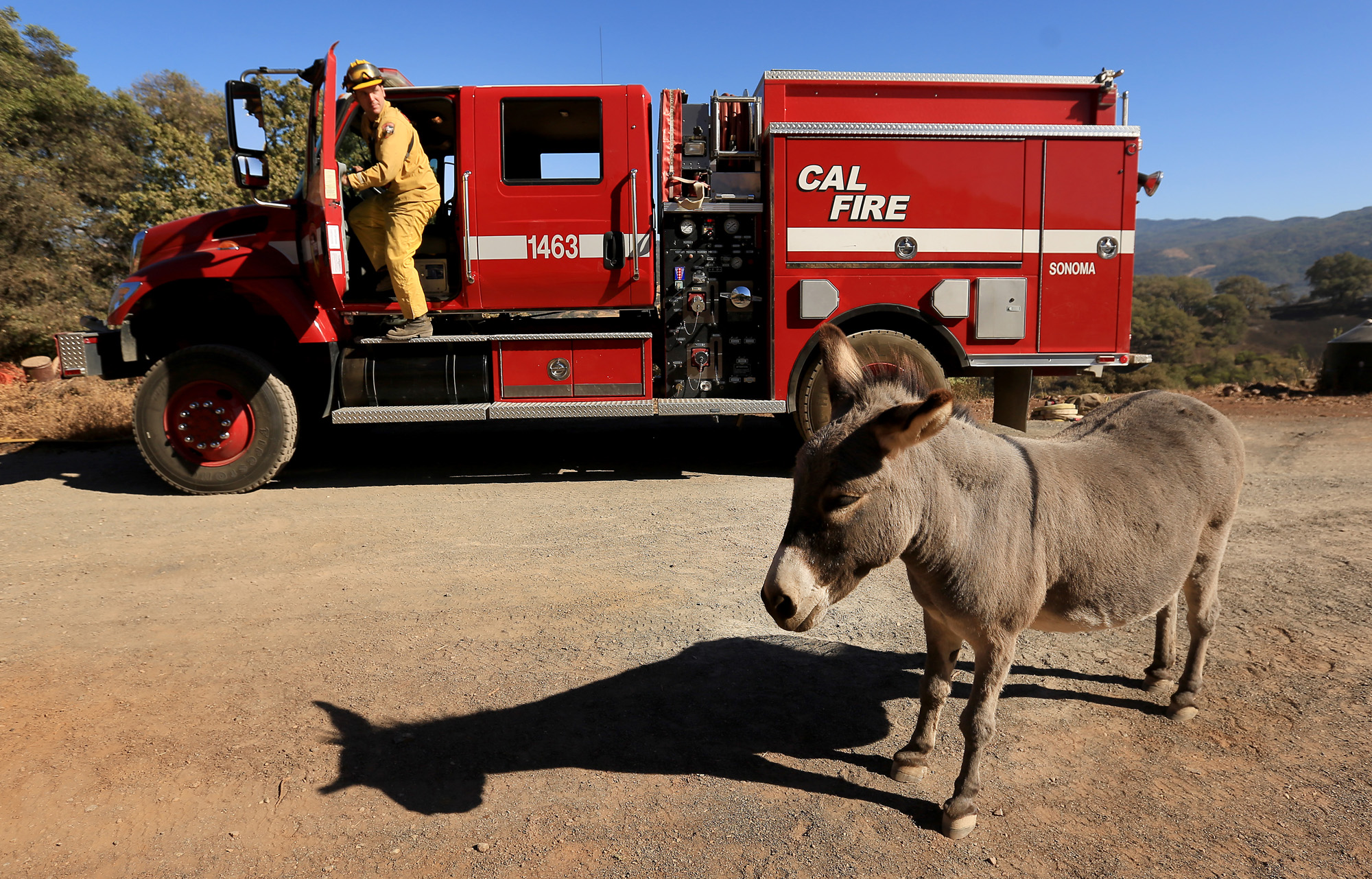 Collin Herman, of Healdsburg Calif., leaves a fire truck in Redwood Valley, Calif., Sept. 15, 2014.