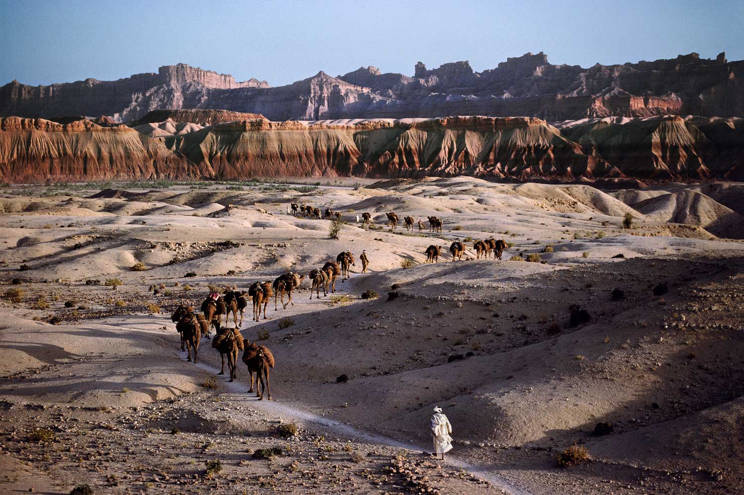 Camel caravan, Southern Afghanistan