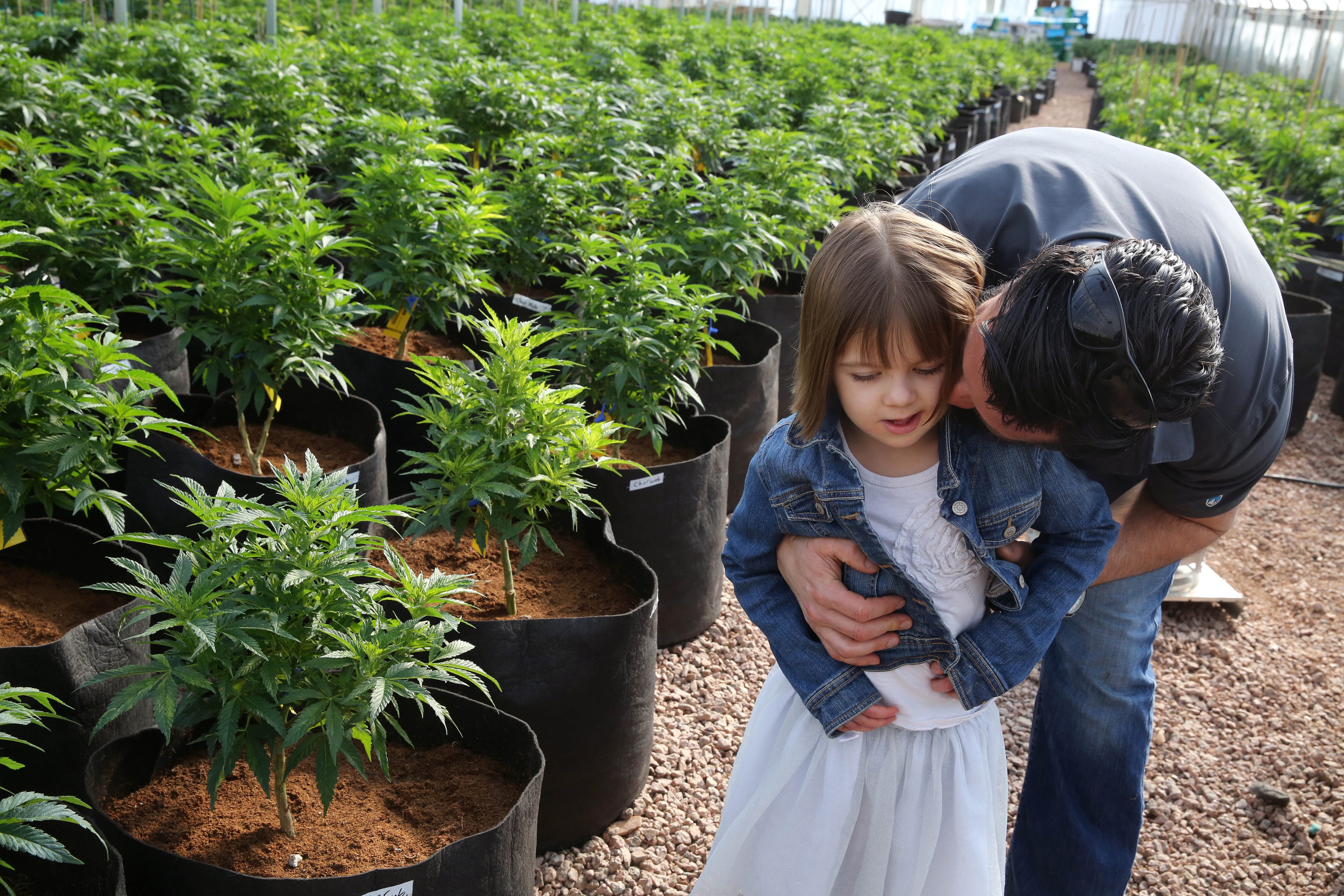 Matt Figi hugs his 7-year-old daughter Charlotte inside a Colorado greenhouse. The plants are a special strain of medical marijuana known as Charlotte's Web, which was named for Charlotte after she used the plant to treat epileptic seizures (Brennan Linsley—AP)