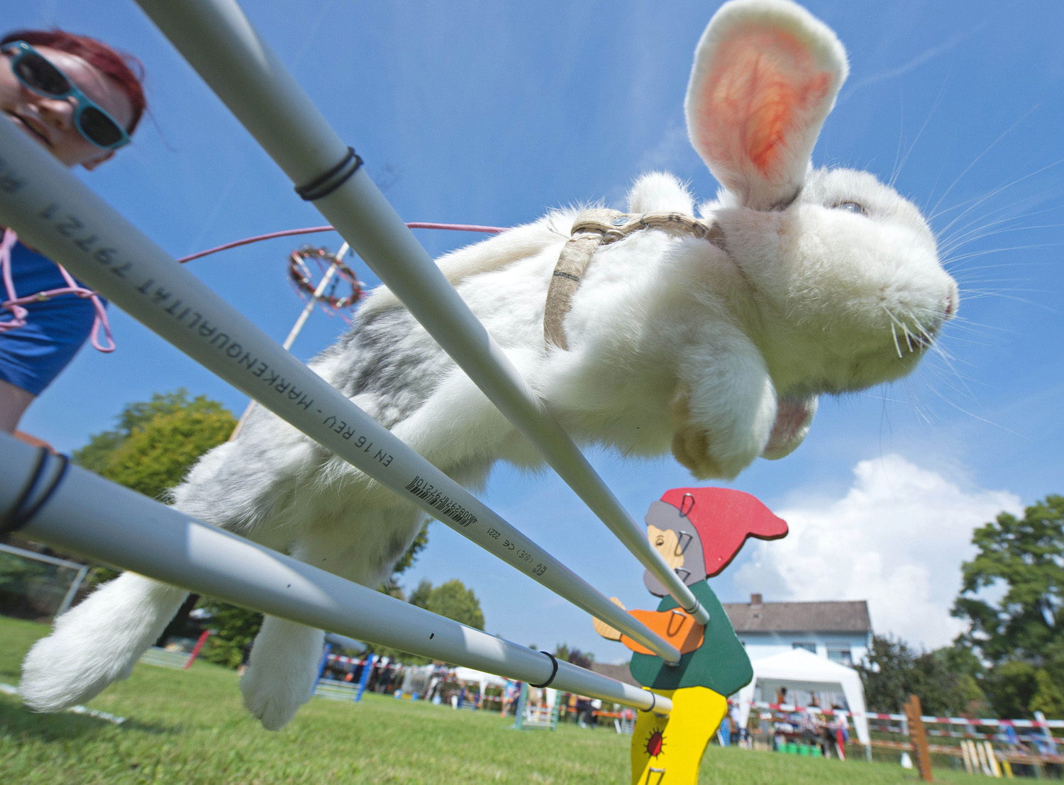 Luisa Riedel's rabbit called Lenny jumps during the Kaninhop (rabbit-jumping) competition in Weissenbrunn vorm Wald, Germany on Sept. 7, 2014.