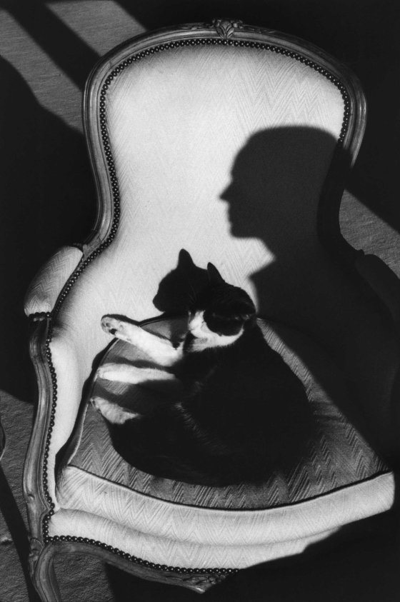 Our cat Ulysses and Martine's shadow, 1989.