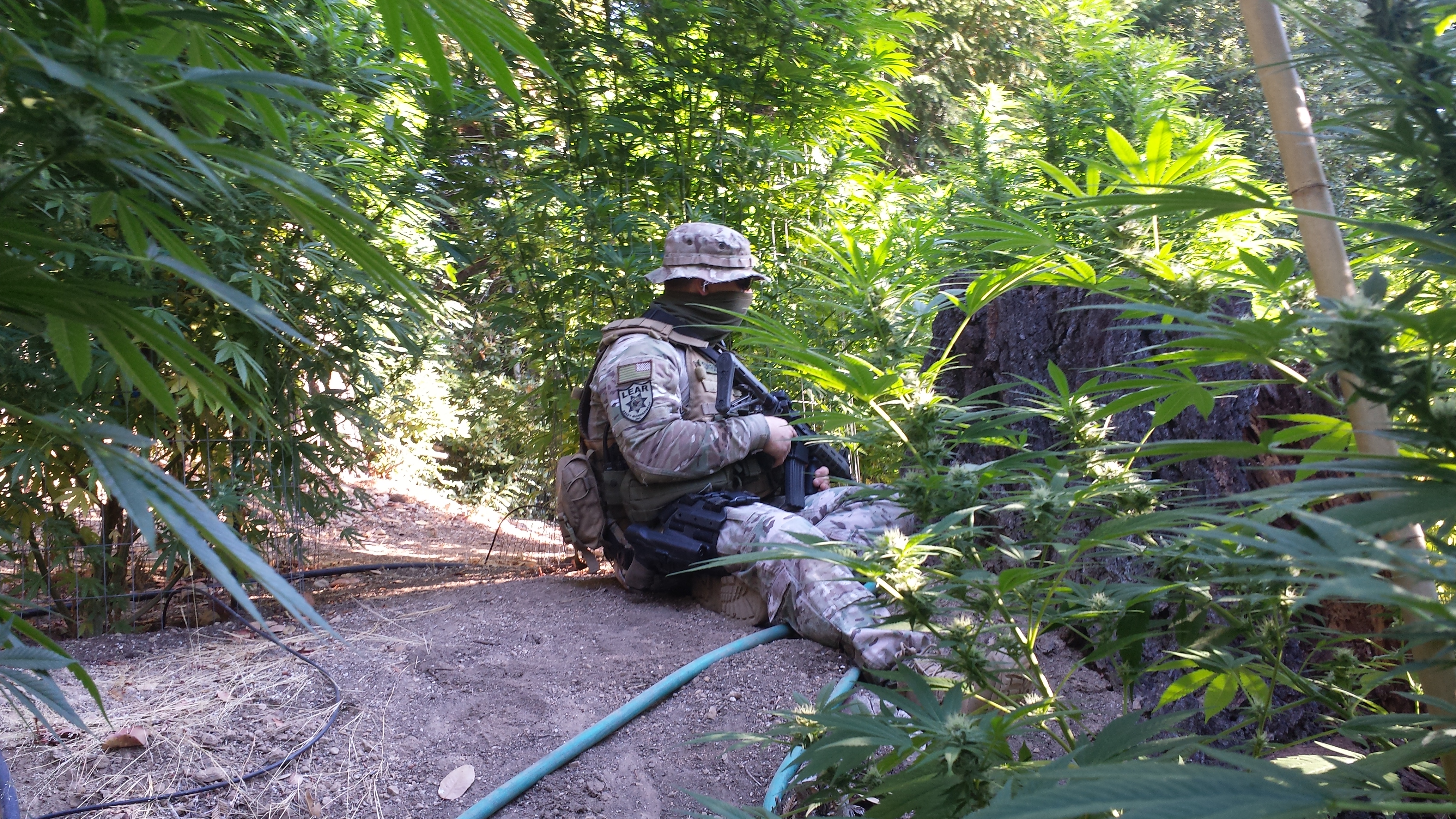 Lear personnel during a raid on an illegal trespassing marijuana operation. (Lear)