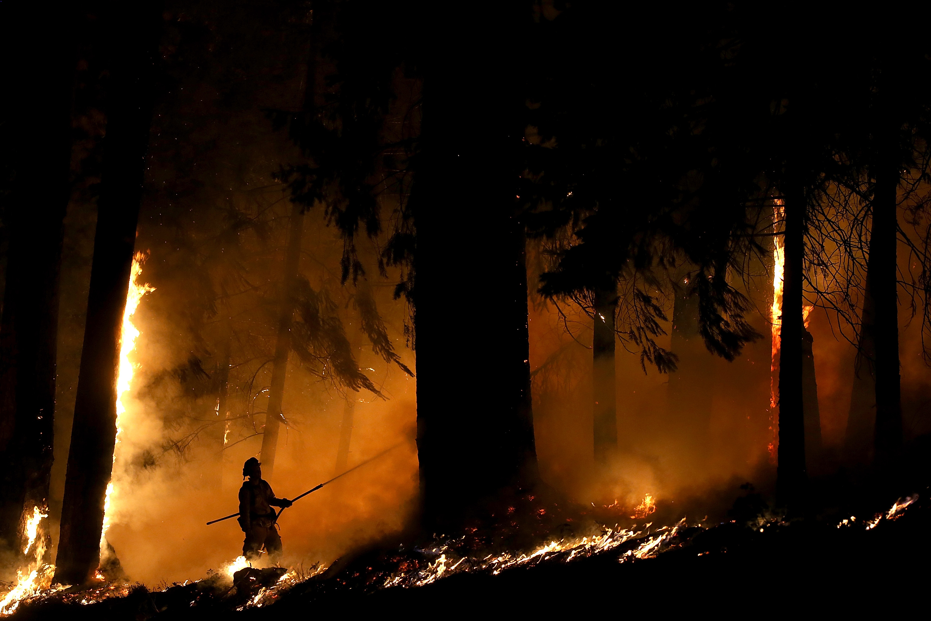 A firefighter monitors a backfire as he battles the King Fire on September 17, 2014 in Fresh Pond, California. (Justin Sullivan&mdash;Getty Images)