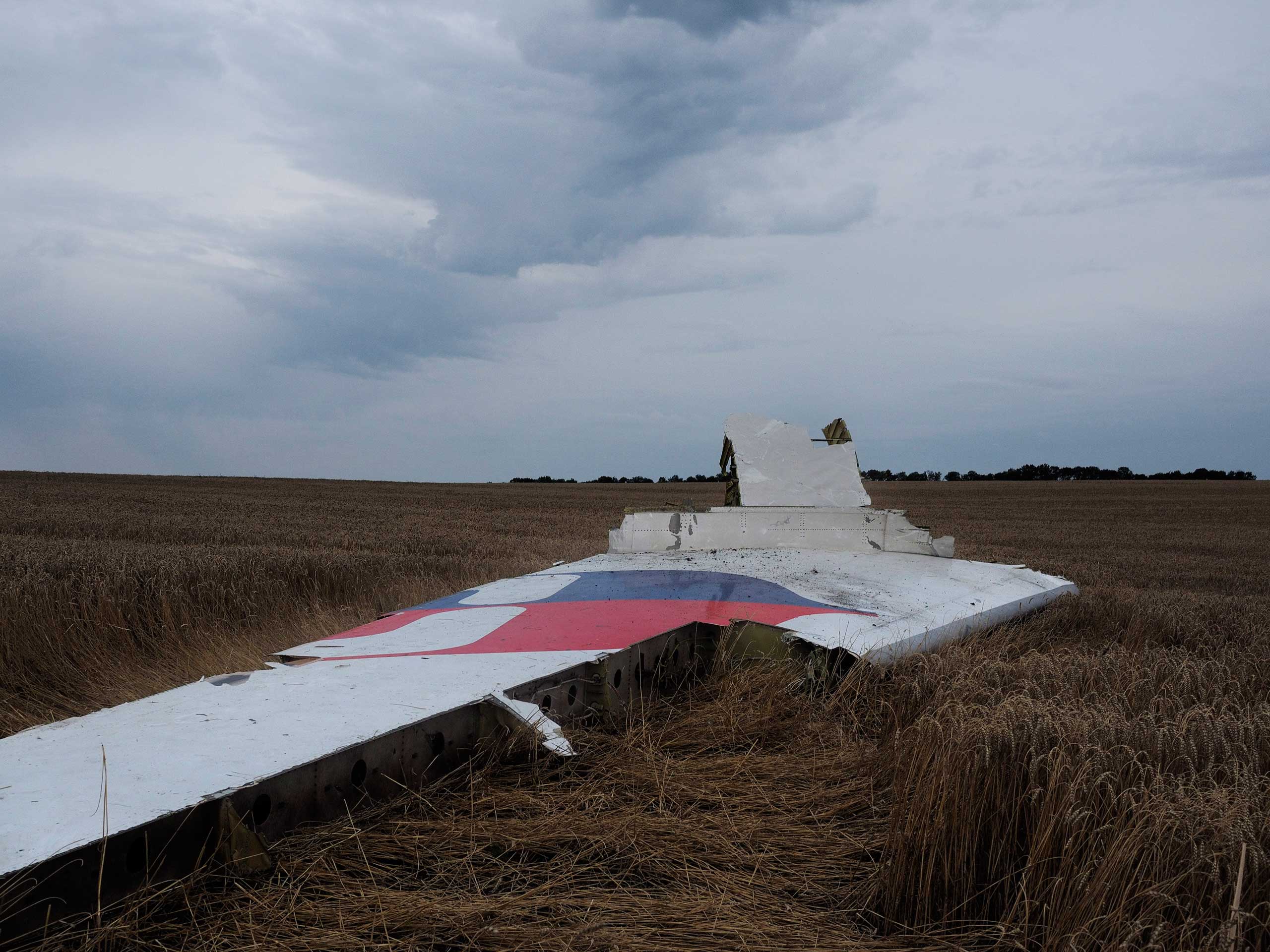 The wreckage of the Malaysian airliner carrying 298 people from Amsterdam to Kuala Lumpur after it crashed, near the town of Shaktarsk, in rebel-held east Ukraine, July 17, 2014.
