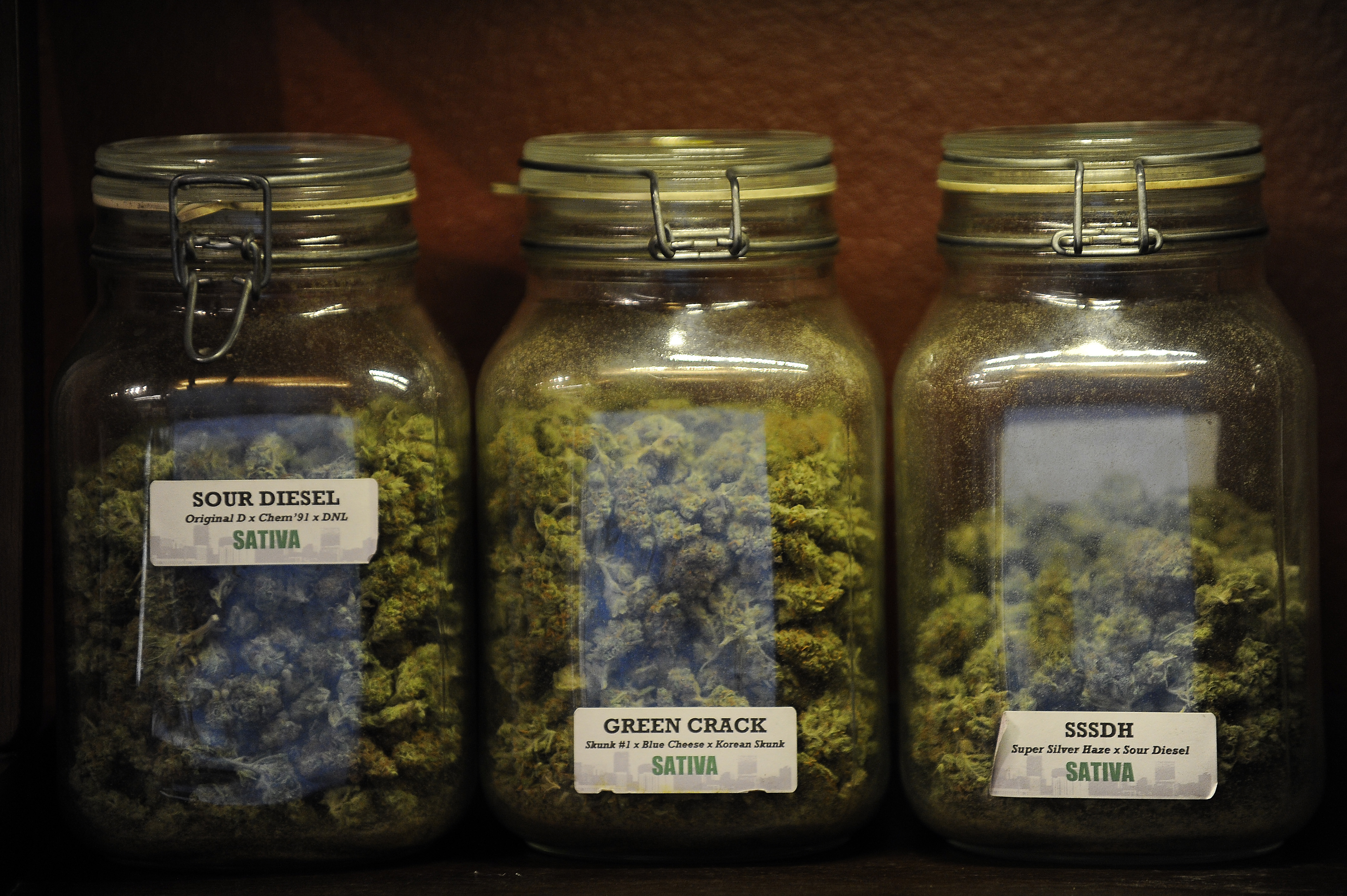 Strains of marijuana at Denver Kush Club in Denver on Jan. 1, 2014. (Seth McConnell—Denver Post/Getty Images)