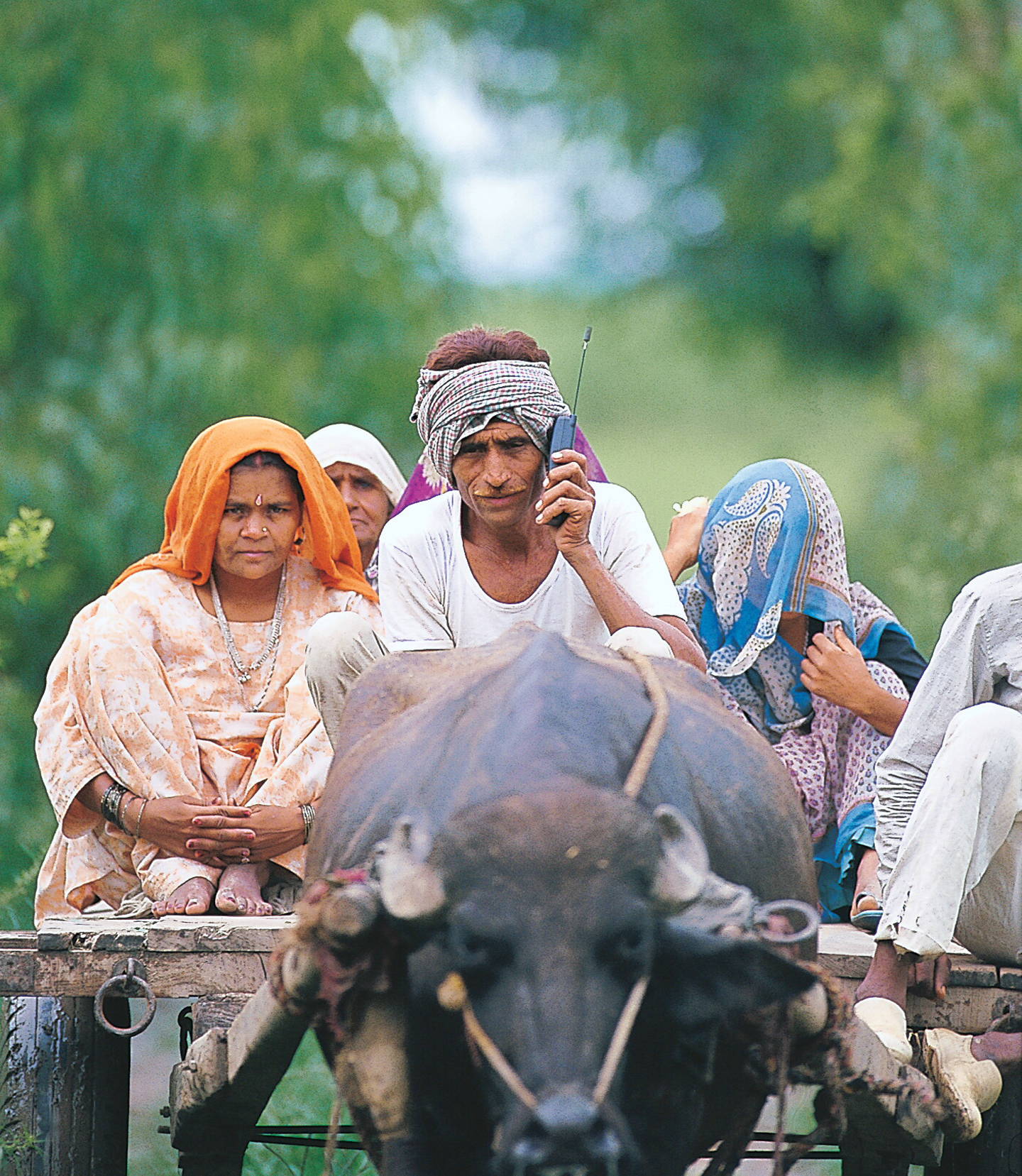 A farmer with his family sitting on a Bullock Cart and talking on a mobile Phone, in Delhi.