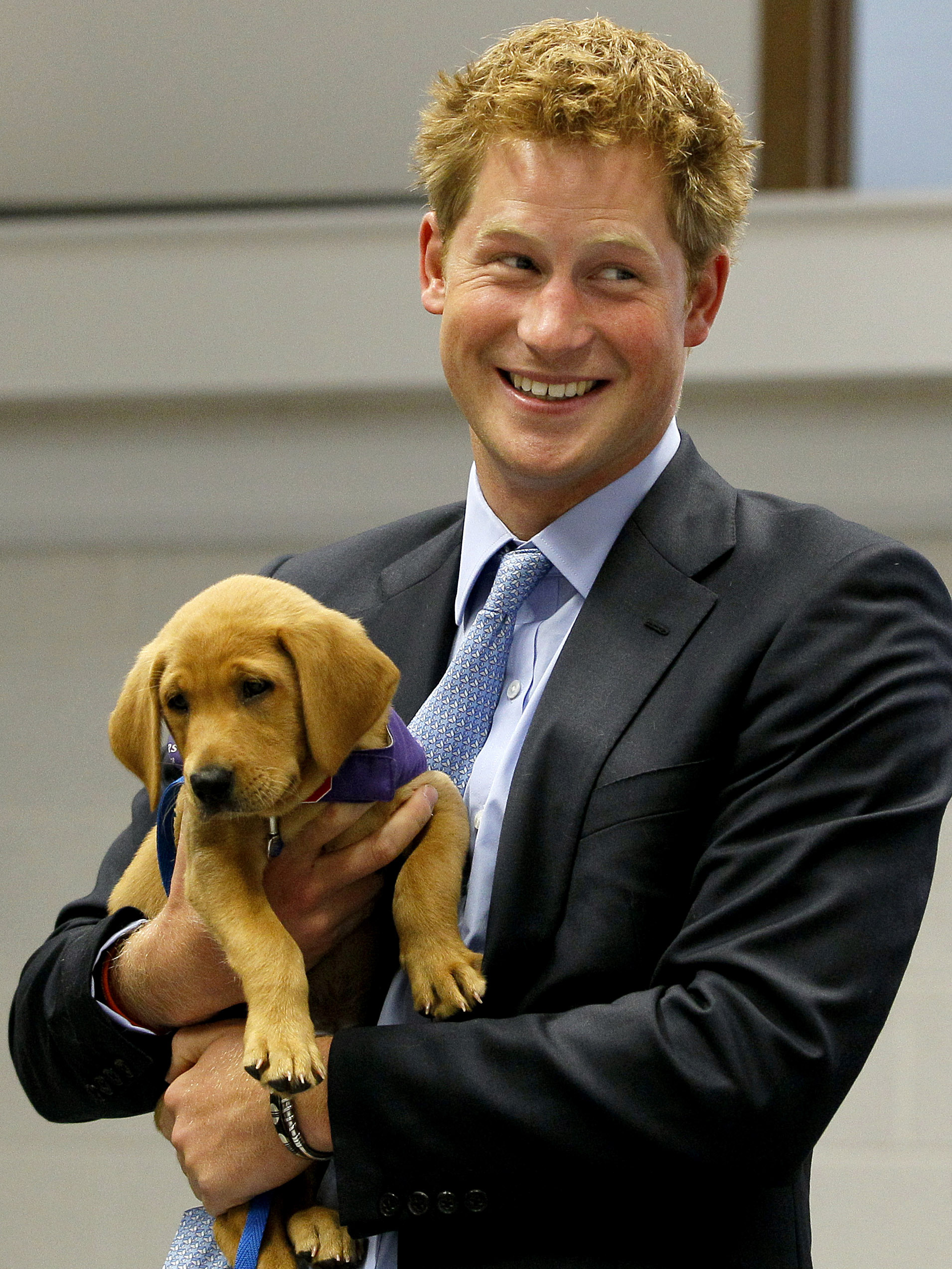 Britain's Prince Harry holds Veyron, an eight week old puppy, during a visit to the charity Canine Partners Training Centre, in Midhurst in southern England