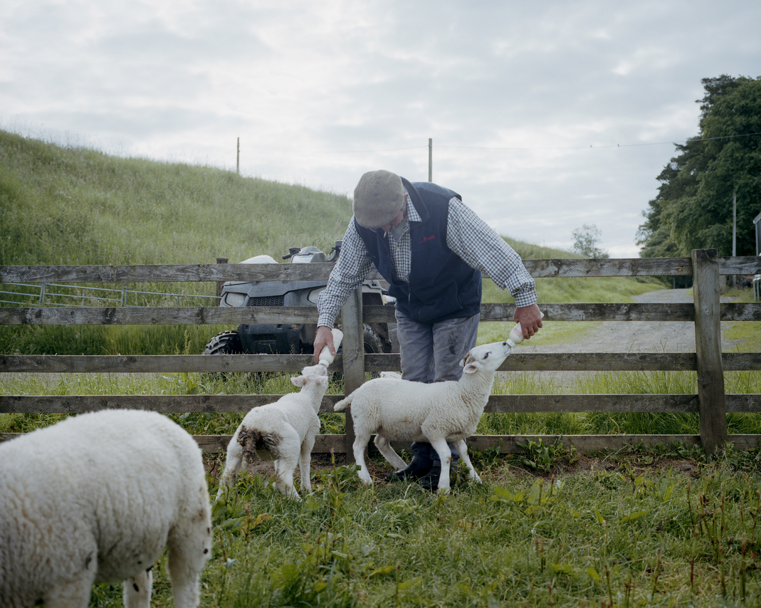 Archie, a Scottish Shepherd, Northumberland, England.