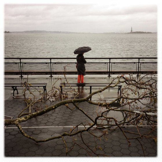 A woman observes the Statue of Liberty from Battery Park