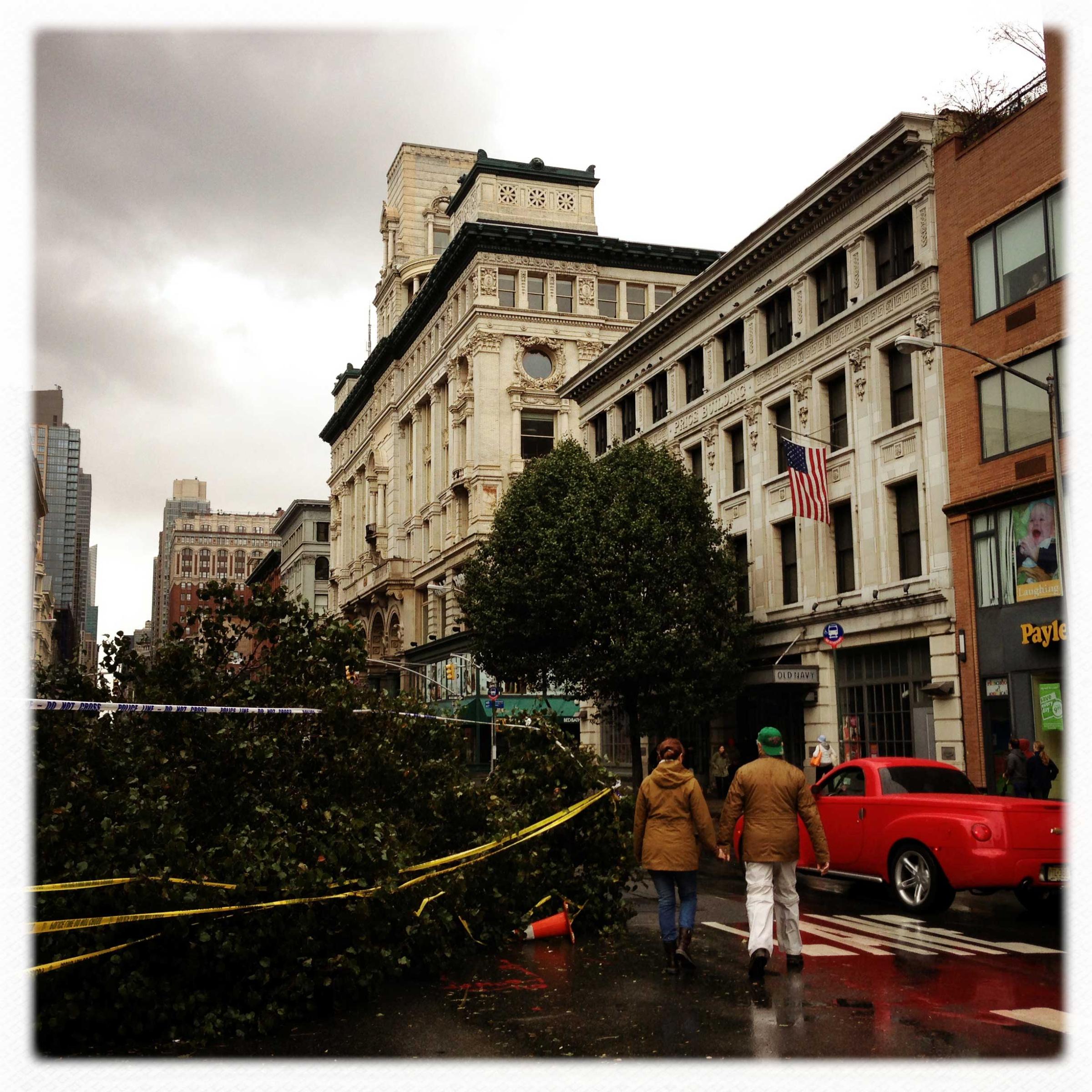 A couple walk around a fallen tree on 6th Avenue, near 18th street, in Manhattan