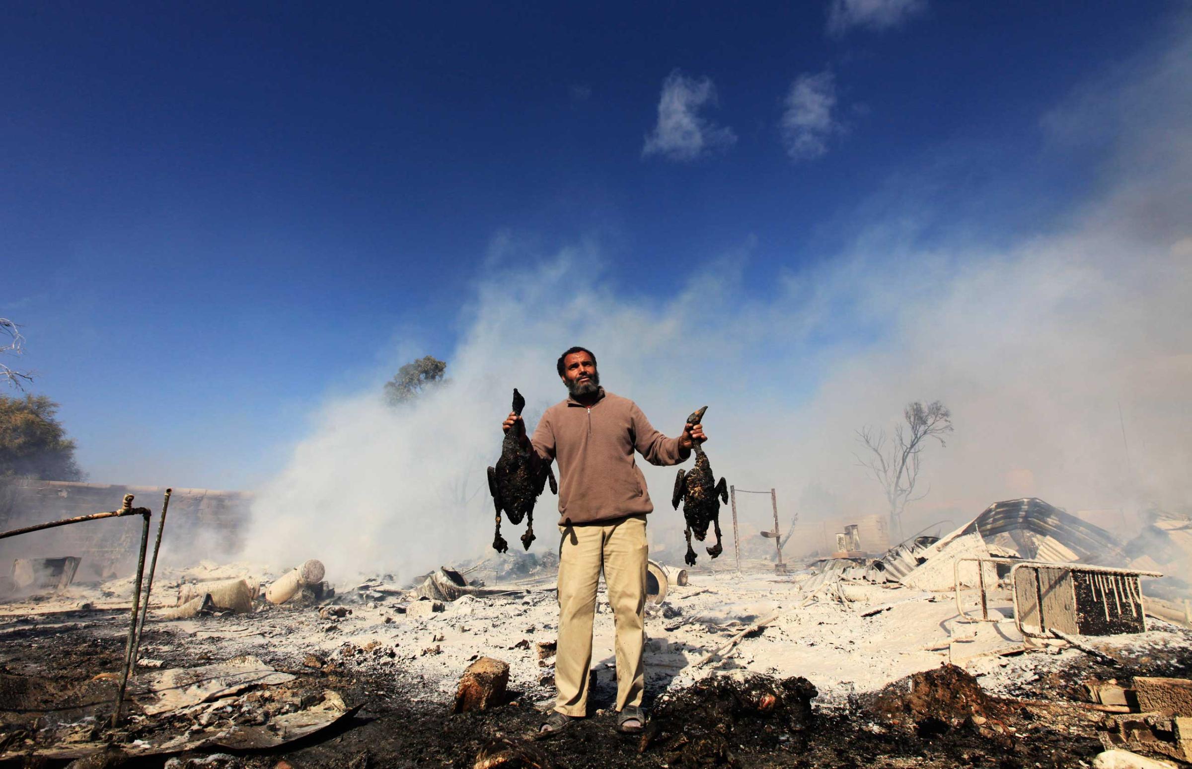 A man holds two burned birds after a fire went off in a compound for homeless Libyan families in Benghazi